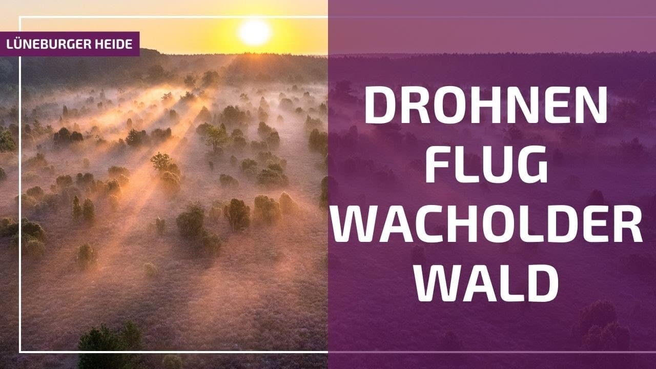 YouTube: Drohnenflug über den Wacholderwald