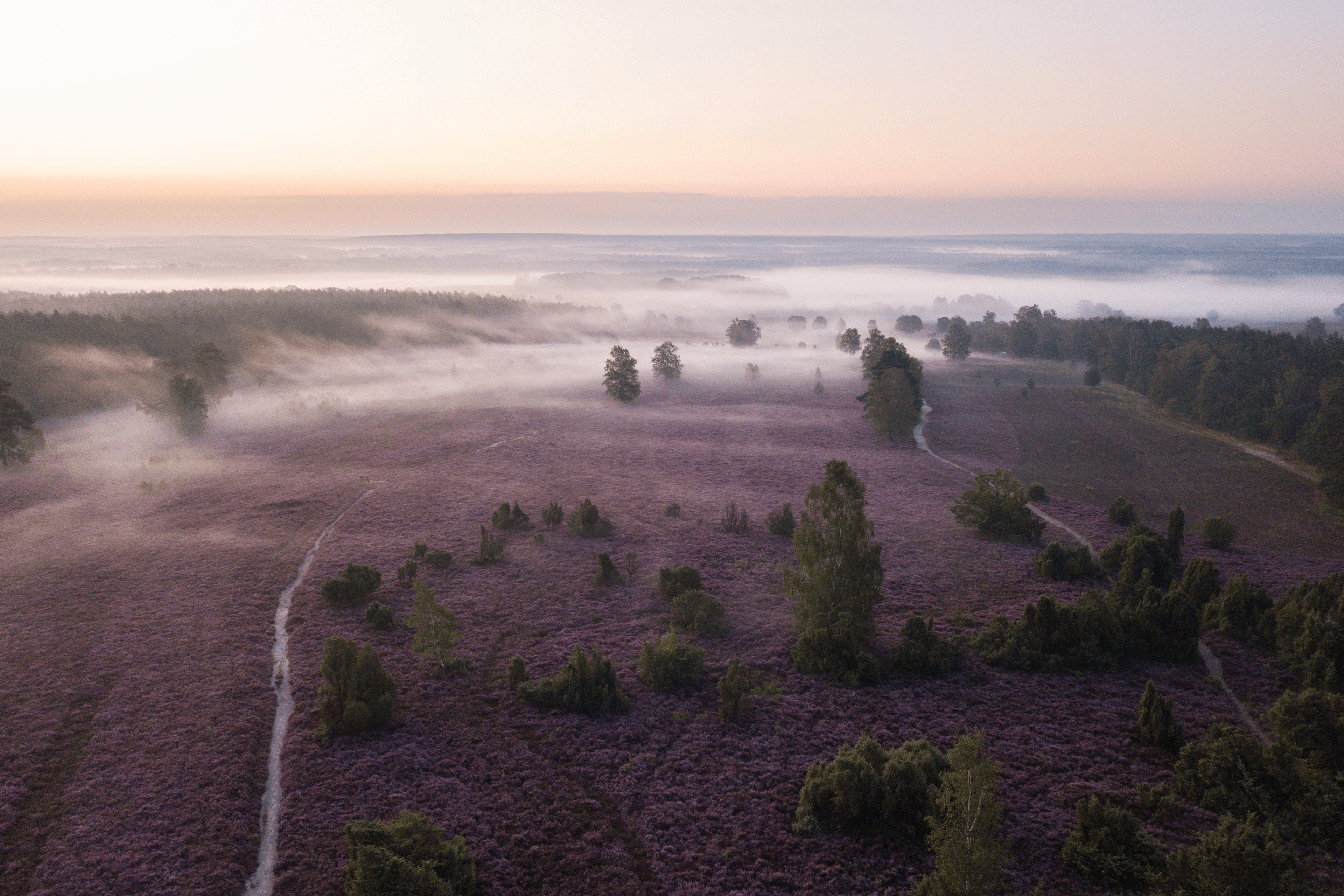 Luftbild vom Wietzer Berg bei MüdenAerial view of Wietzer Berg near MüdenLuftfoto af Wietzer Berg nær MüdenLuchtfoto van de Wietzer Berg bij Müden