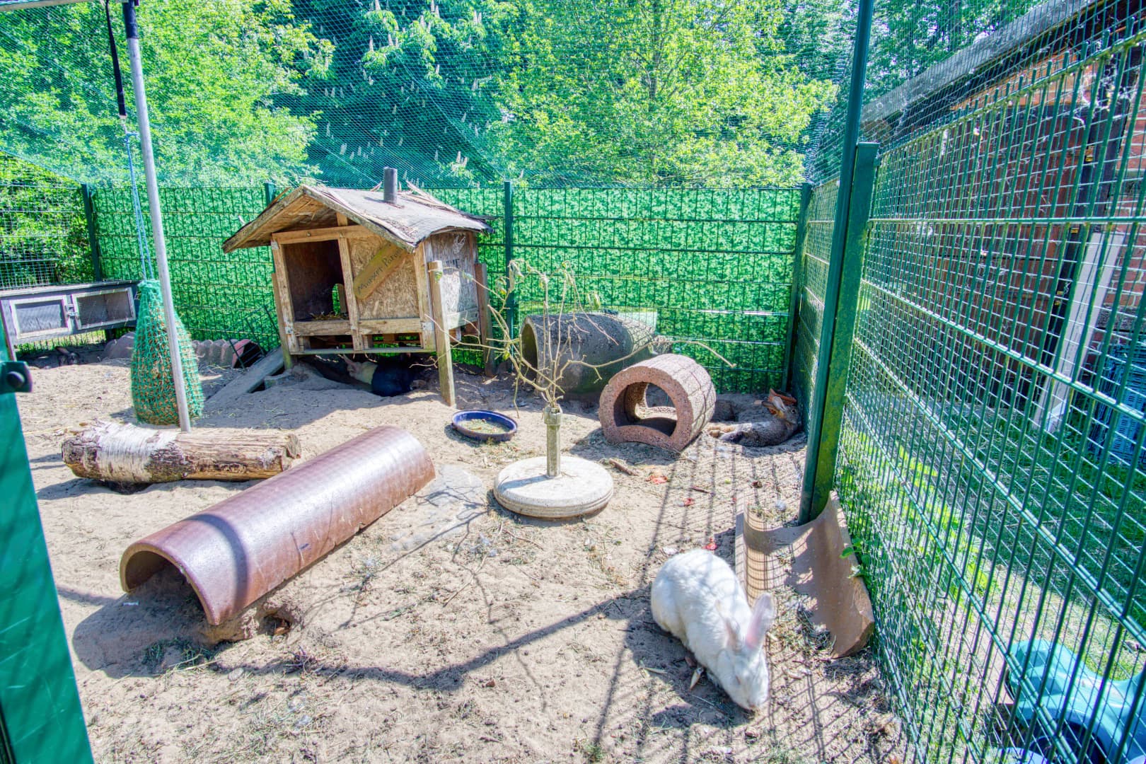 Kaninchen Ferienpension Lindenhof Natururlaub Lüneburger Heide