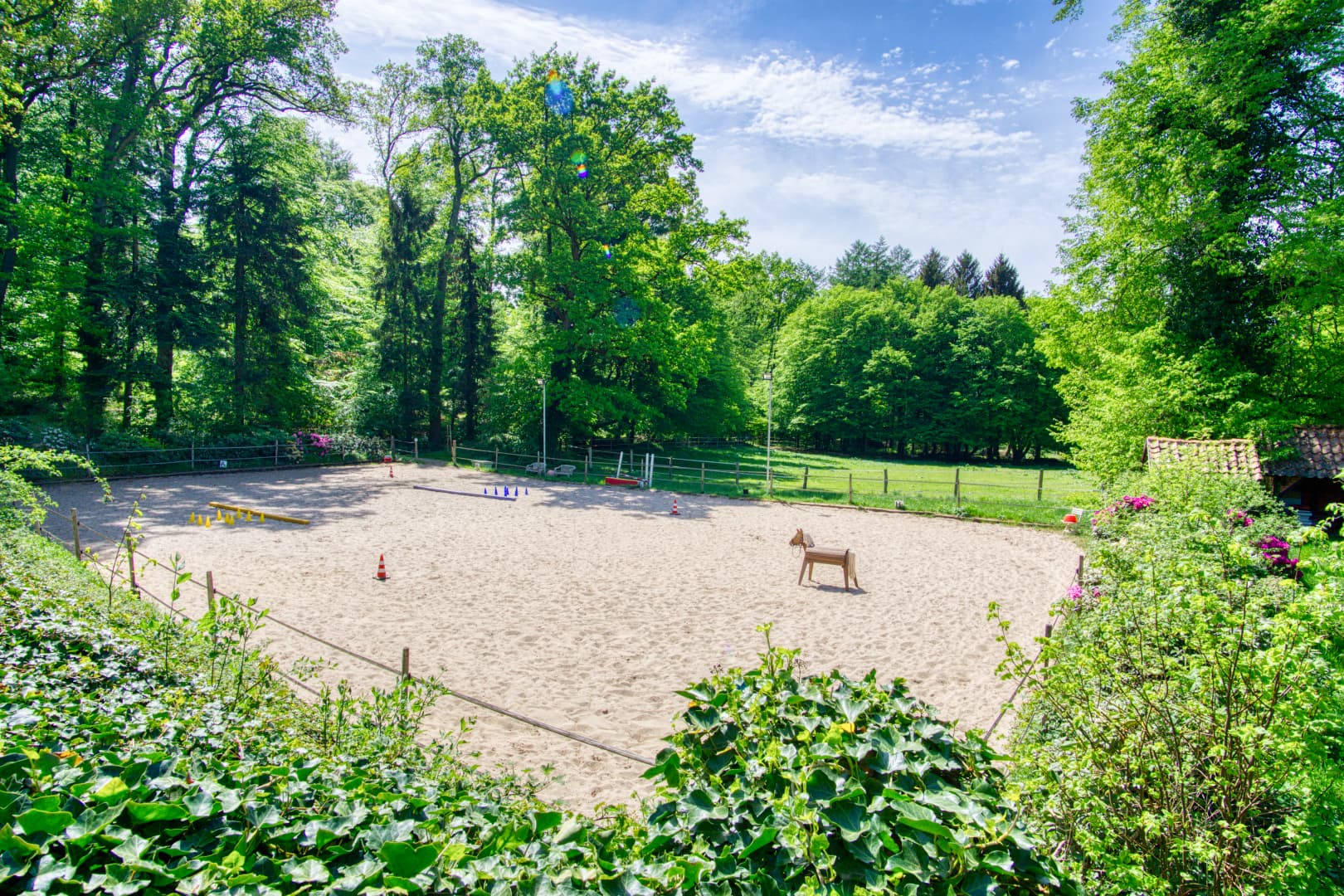 Reitplatz Ferienpension Lindenhof Natururlaub Lüneburger Heide