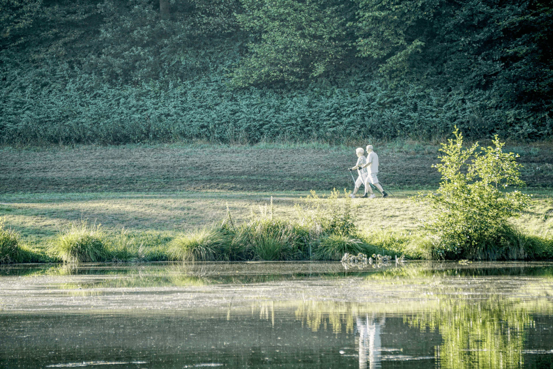 Ein älteres Paar beim Nordic Walking am grasbewachsenen Ufer des Lopausees vor grünem Waldhintergrund.