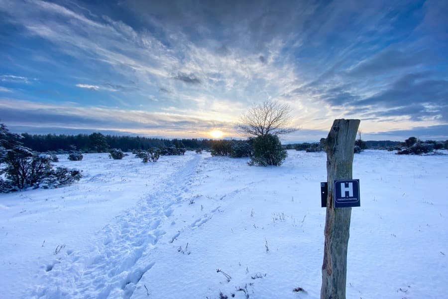Fassberg Wacholderwald im Schnee am Heidschnuckenweg Lüneburger Heide
