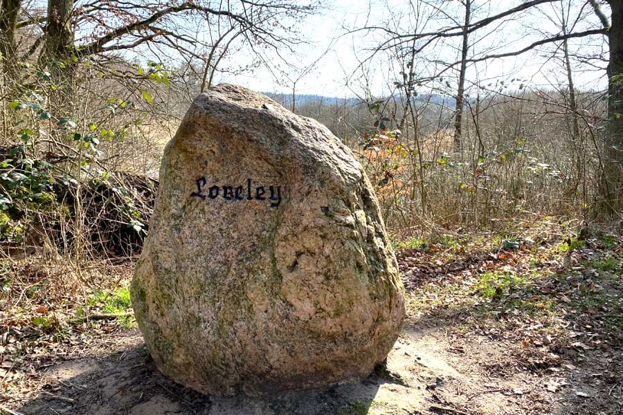 Unweit der Ilmenau im Wilschenbruch Lüneburg steht der Loreley Felsen