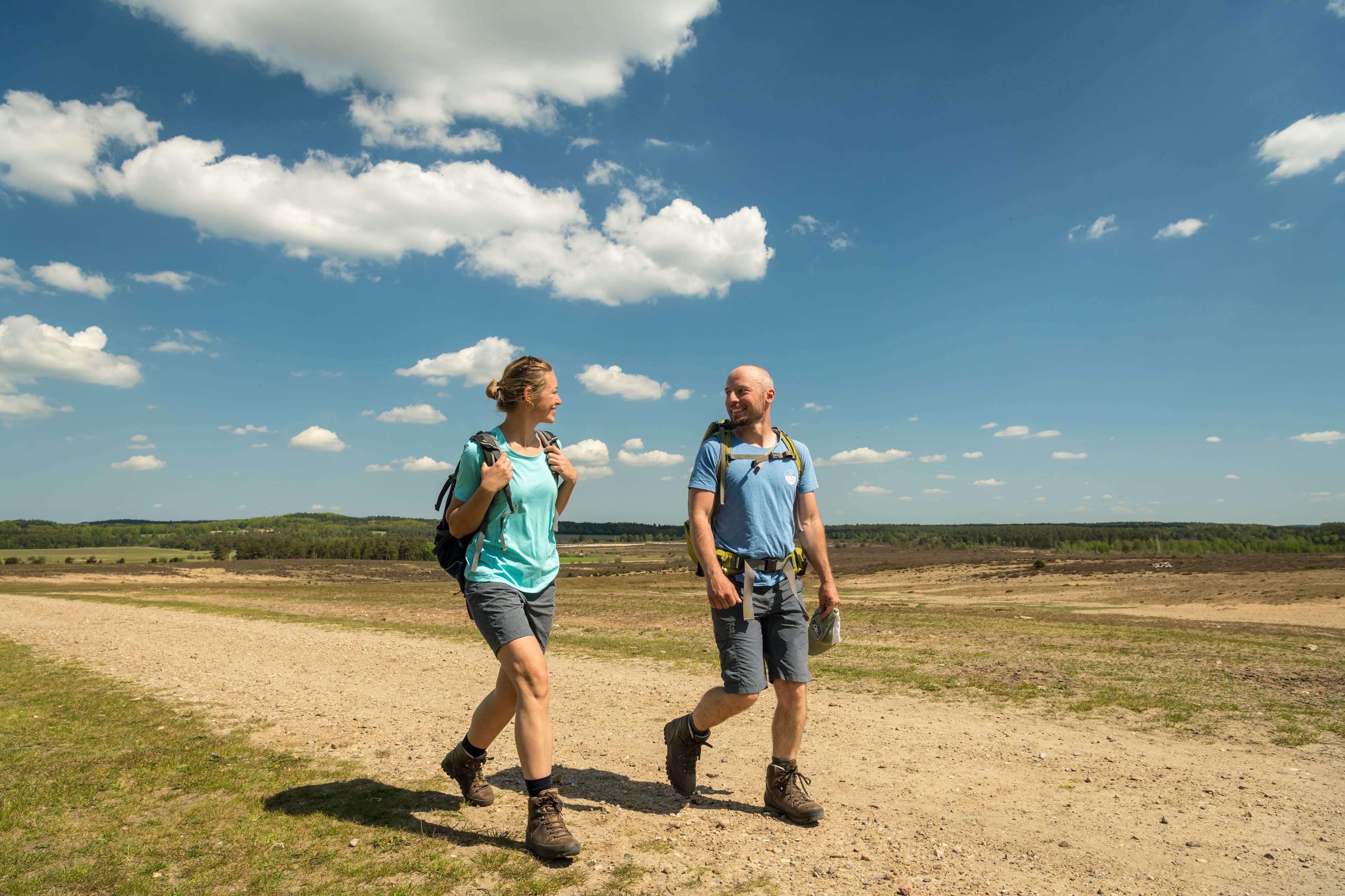 Wandern in der Lüneburger Heide im Sommer