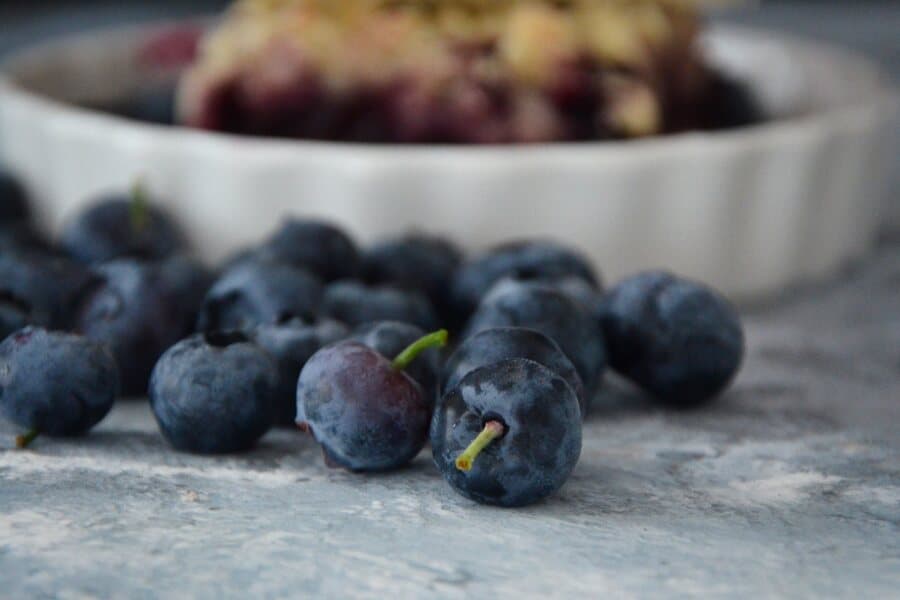 Rezept für einen schnellen Streuselkuchen mit leckerer Heidelbeer-Füllung / Lüneburger Heide