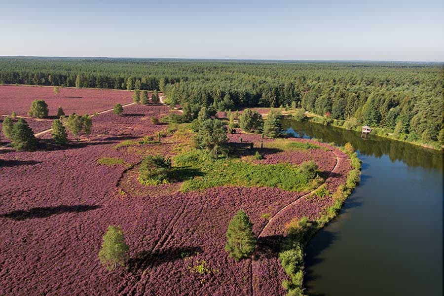 barrierefreier Rundwanderweg Lüneburger Heide