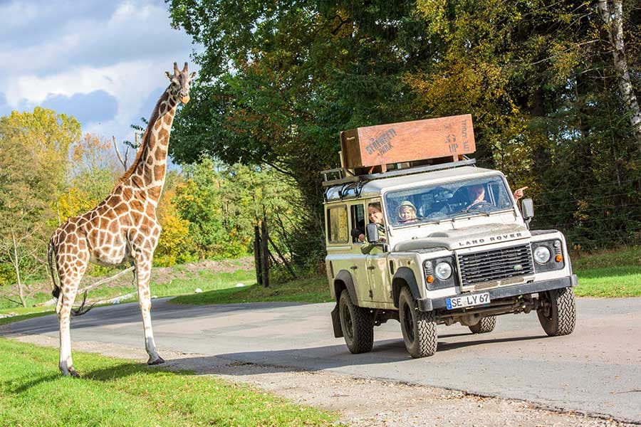 Mit dem eigenen Auto durch den Serengeti Park Hodenhagen
