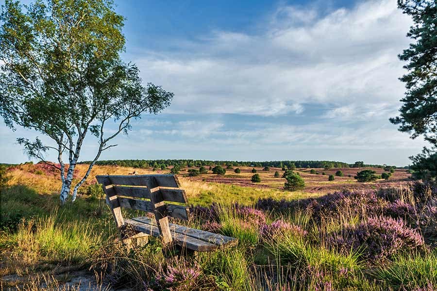 Die schönsten Bänke der Lüneburger Heide mit grandioser Aussicht