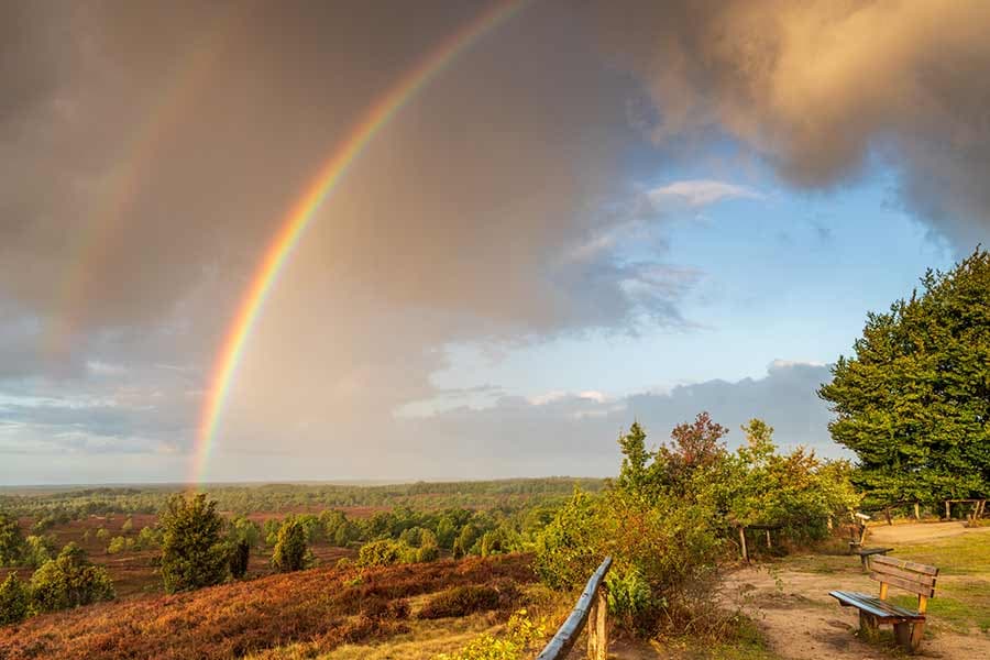 Regenbogen am Wilseder Berg