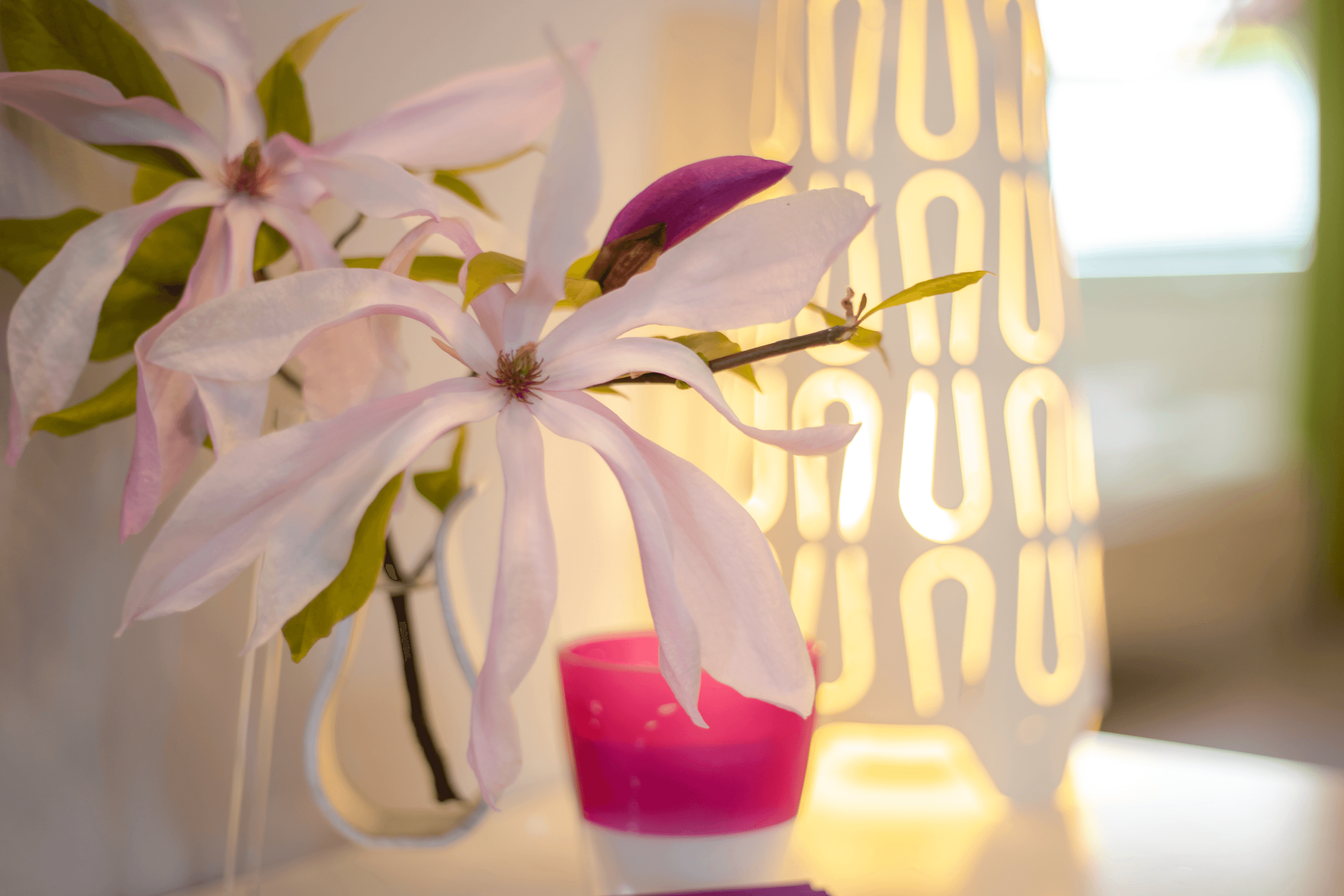 Licht zum Wohlfühlen in dem Ferienhaus Südheide in Hermannsburg