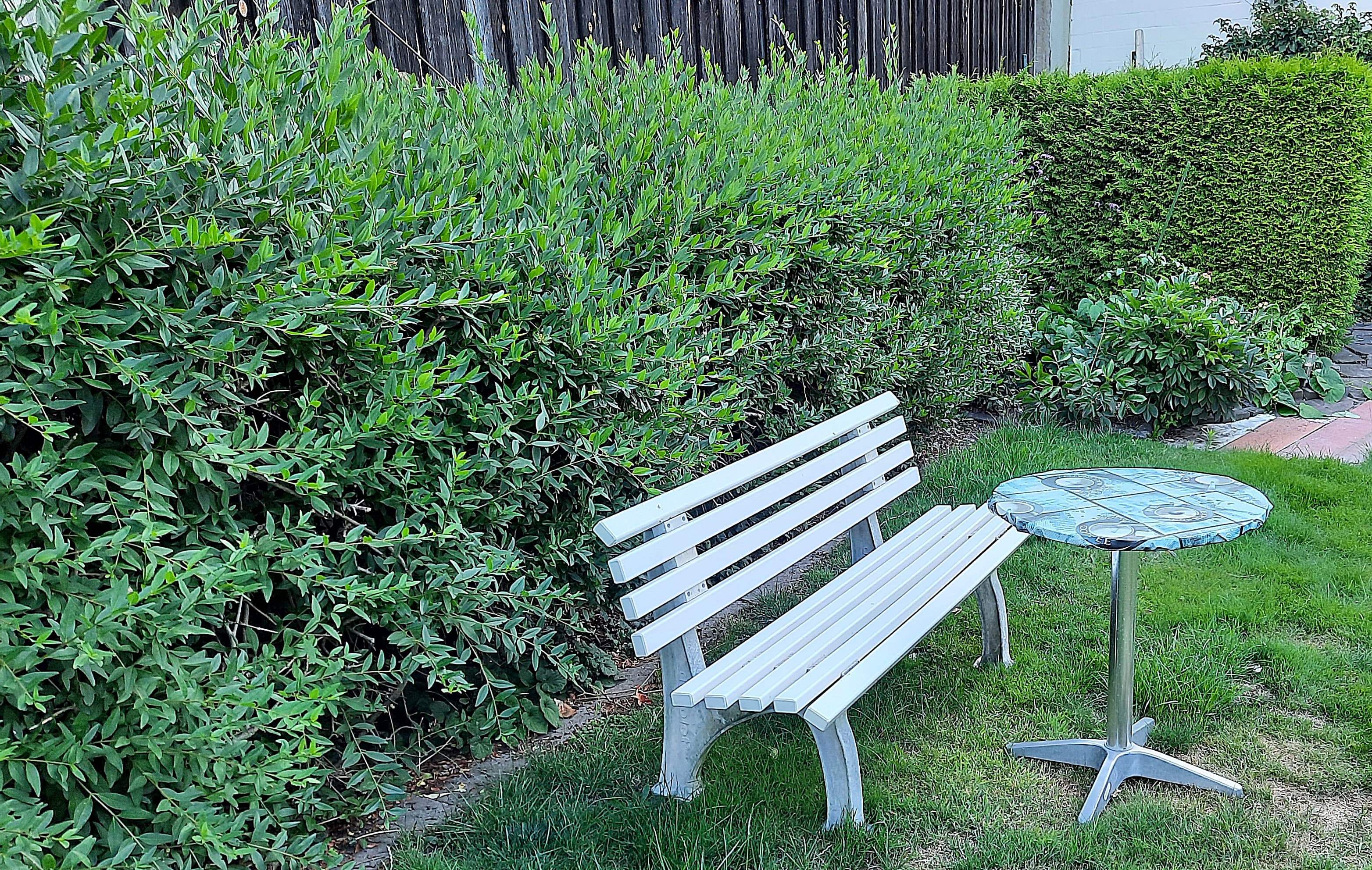 Sitzplatz in der Sonne der Ferienwohnung Fritz Dreyer in Celle