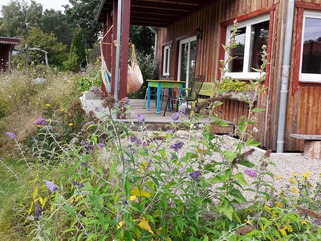 Blick auf die Terrasse Ferienhaus Am Wegesrand Müden Örtze