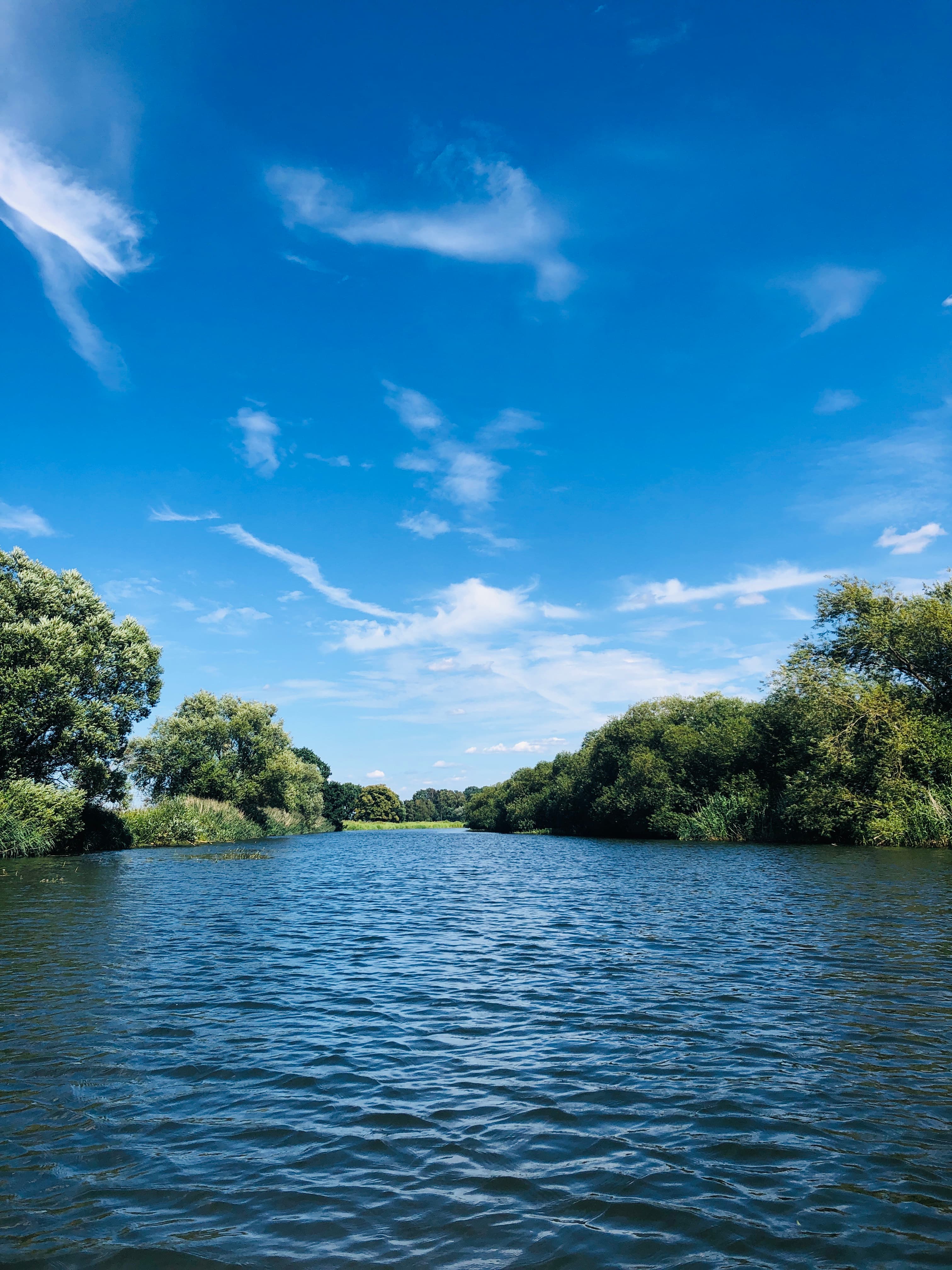 Blick auf die Aller bei Wietze
