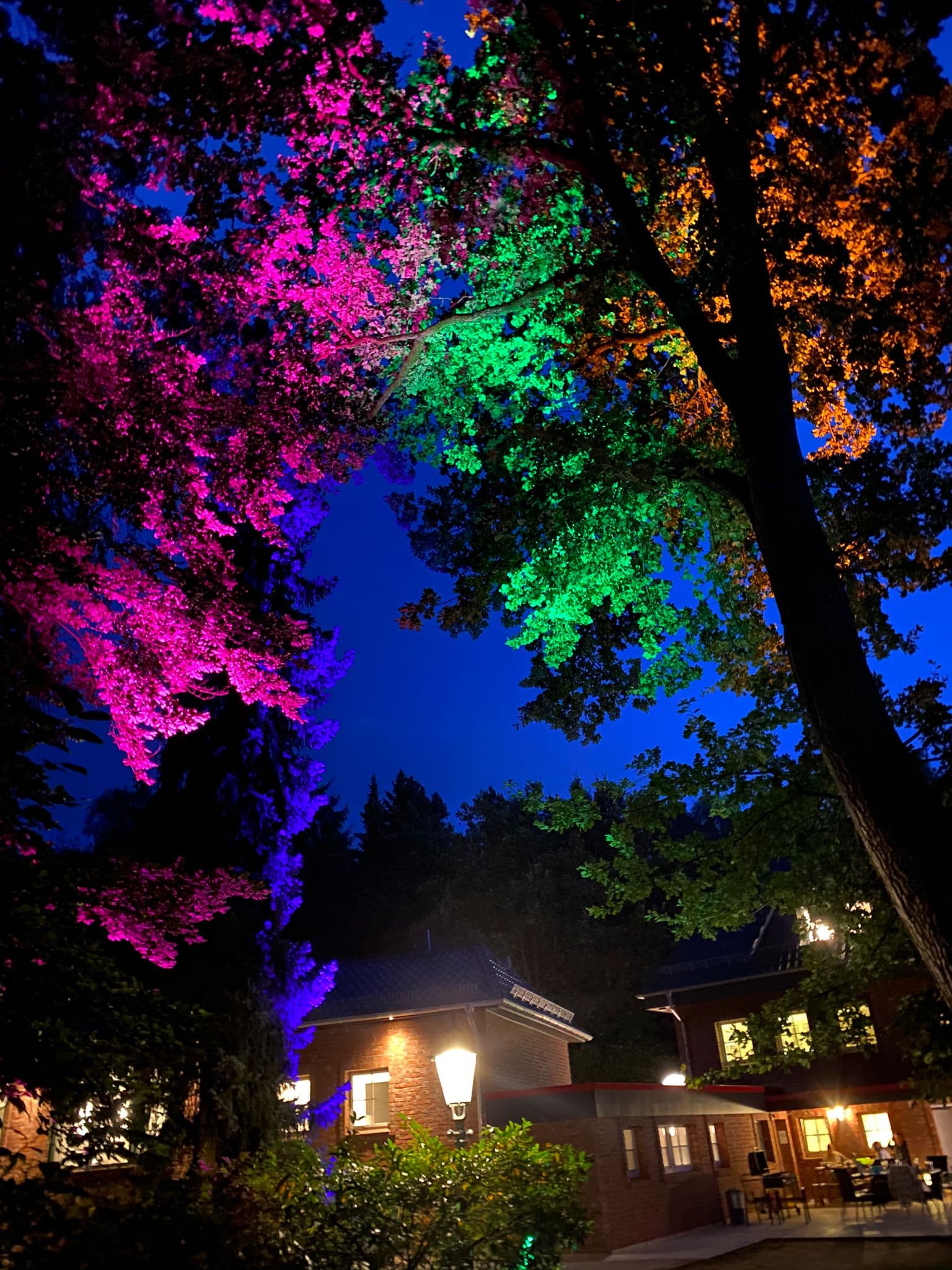 Objekt mit Bunter Beleuchtung der Whirlpool Suites in Amelinghausen