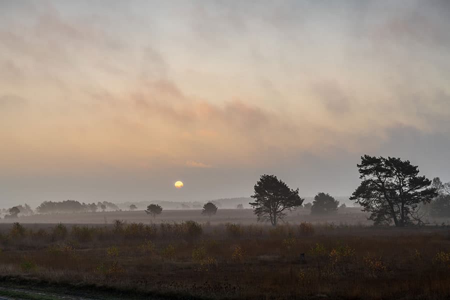 Hindenburgbunker auf dem Truppenübungsplatz in der Lüneburger Heide
