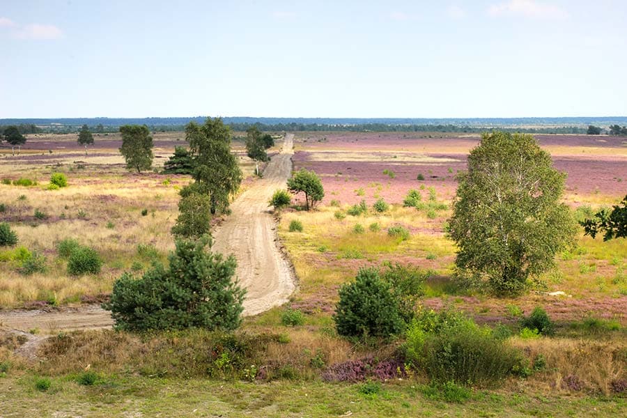 Hindenburgbunker auf dem Truppenübungsplatz Munster-Süd