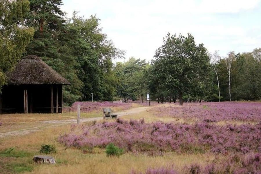 Bank im Landschaftsschutzgebiet Höpen in Schneverdingen