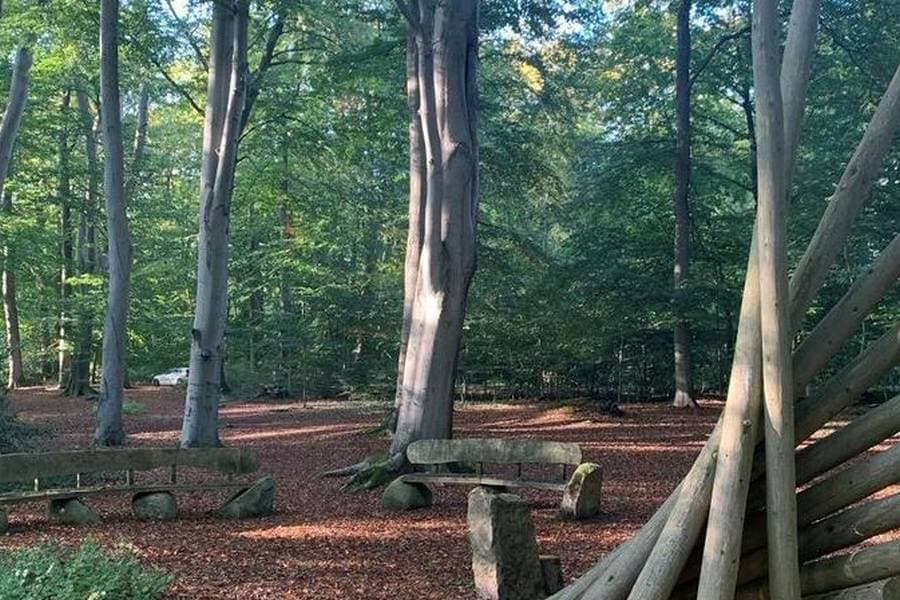 Wanderweg Forelle in Neuenkirchen