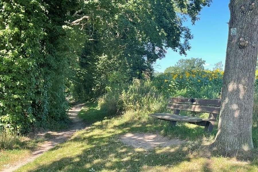 Wanderweg Forelle in Neuenkirchen