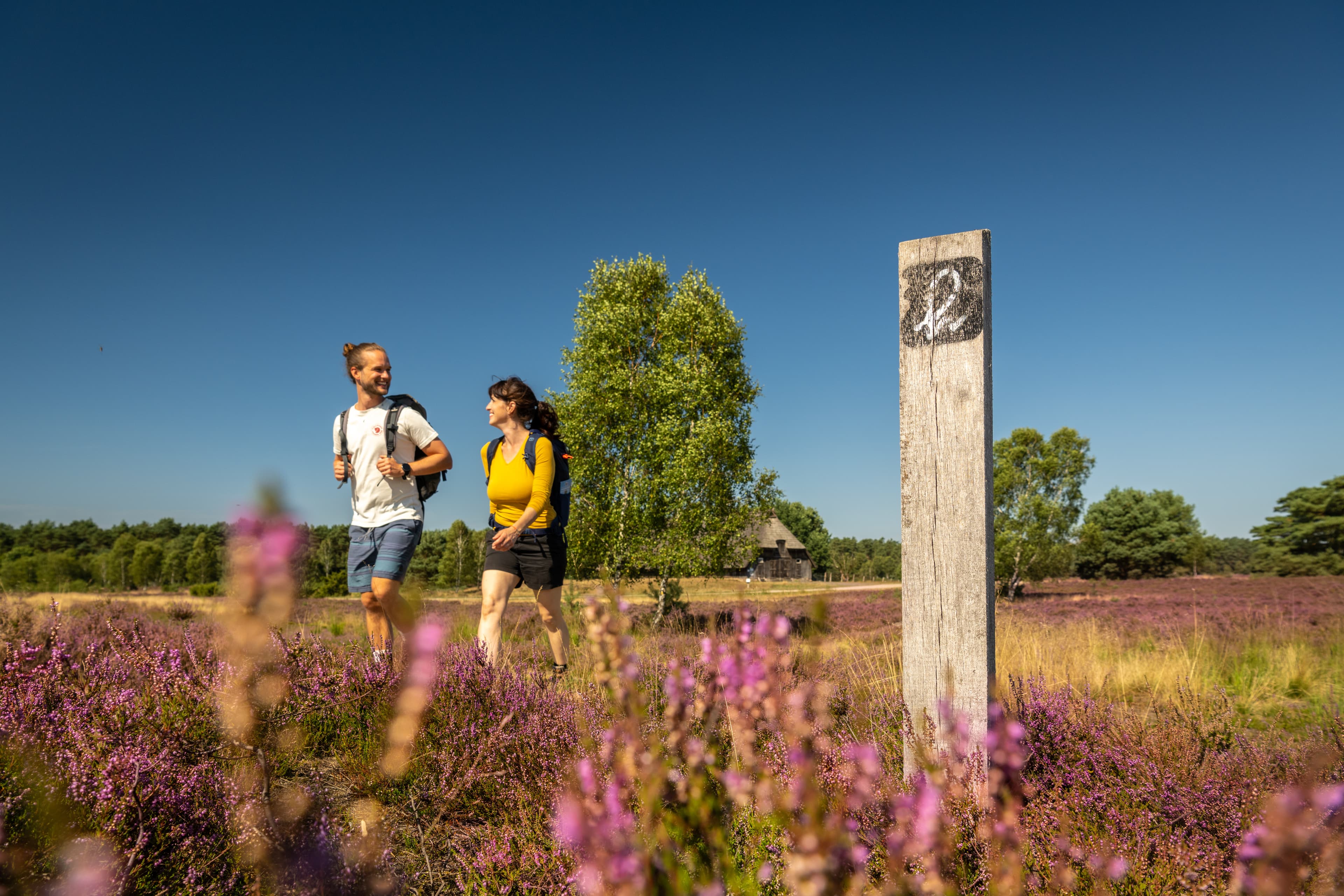 Wandern auf dem HeidschnuckenwegHiking on the Heidschnucken TrailVandring på Heidschnucken-stienWandelen op de Heidschnucken Trail