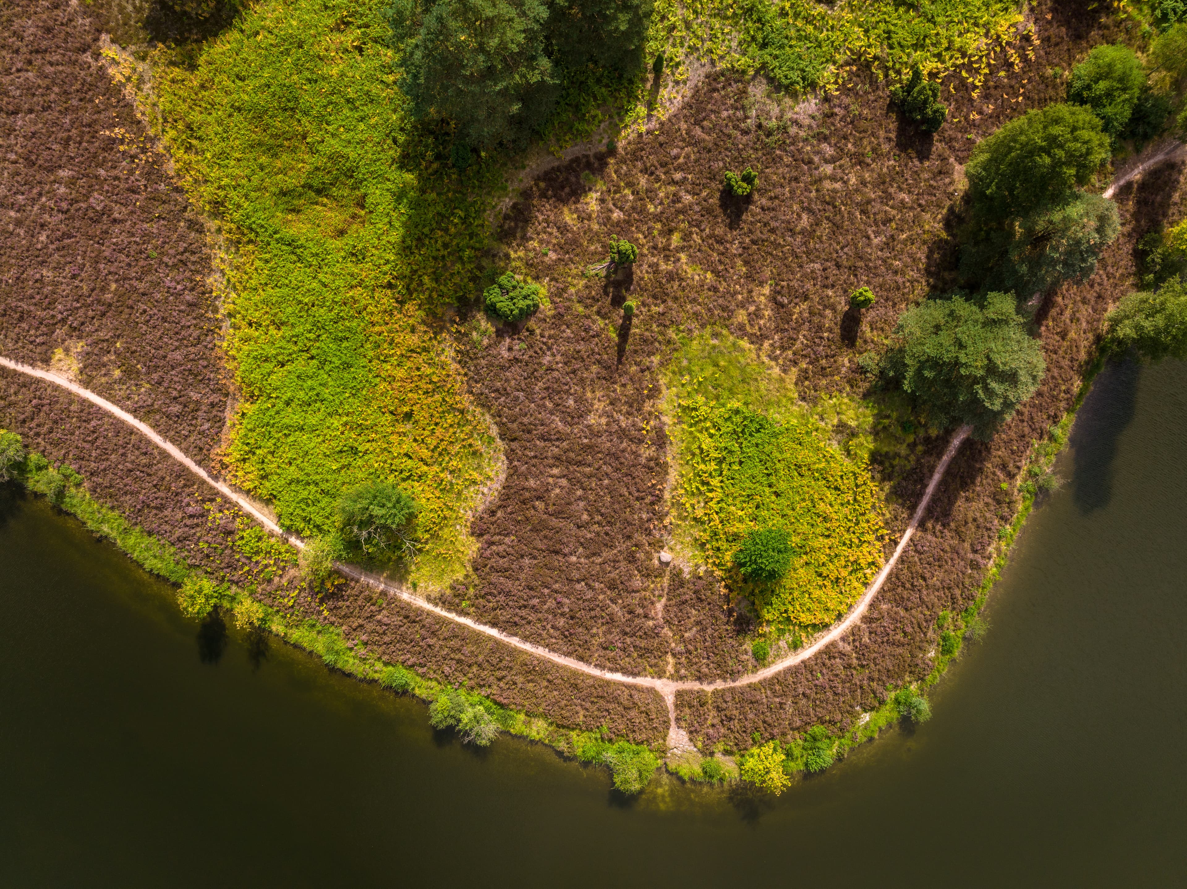 Angelbecksteich bei Hermannsburg Wandern Wanderweg Heidschnuckenweg