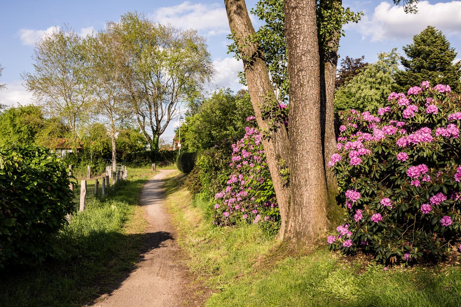 Heidschnuckenweg Wietzendorf Etappe 7 Lüneburger Heide Wandern