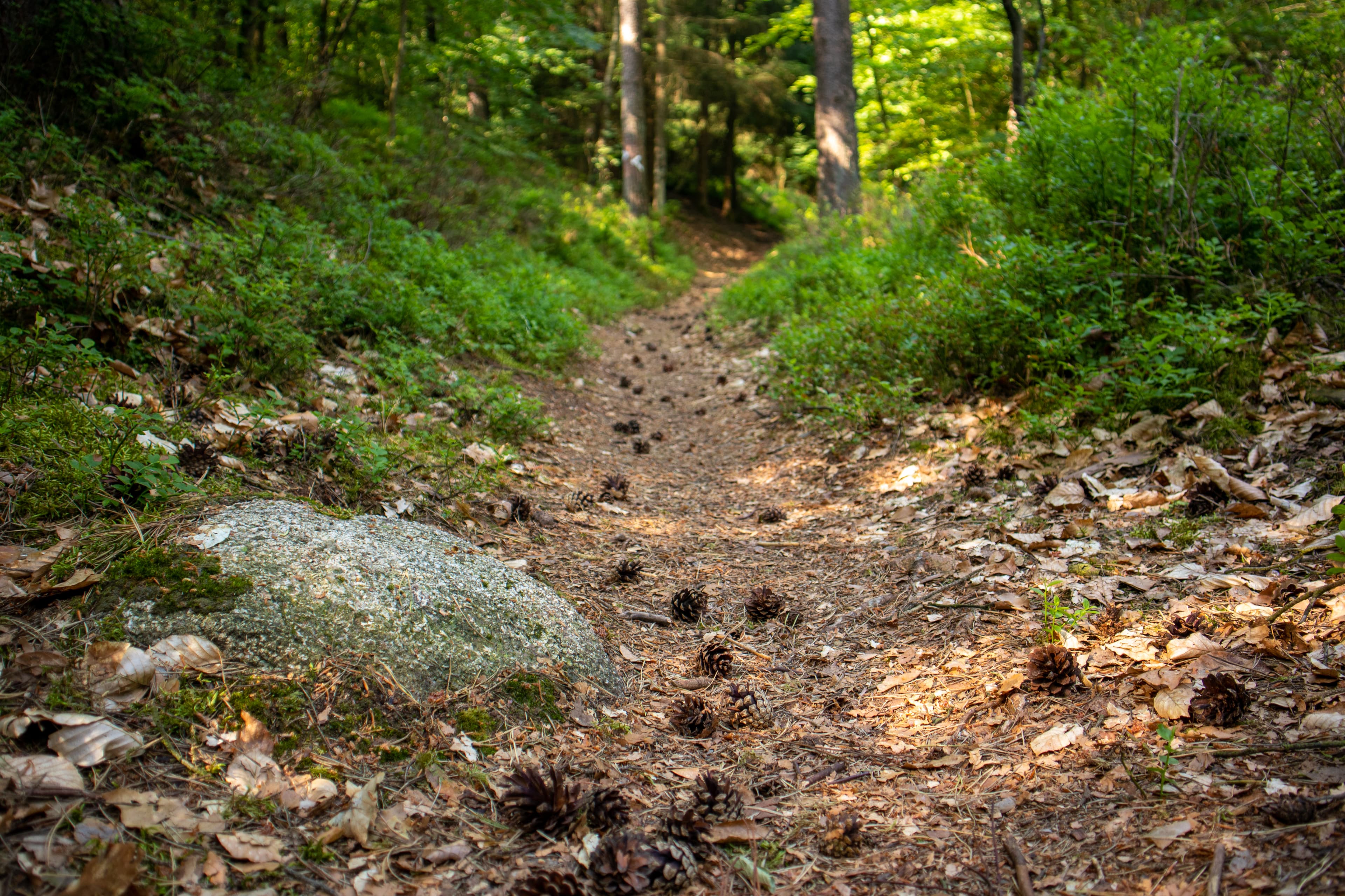 Wanderweg Kerkstieg Hanstedt Wesel