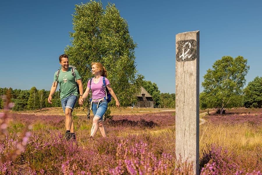 Wandern auf rundwanderwegen durch die Lüneburger Heide