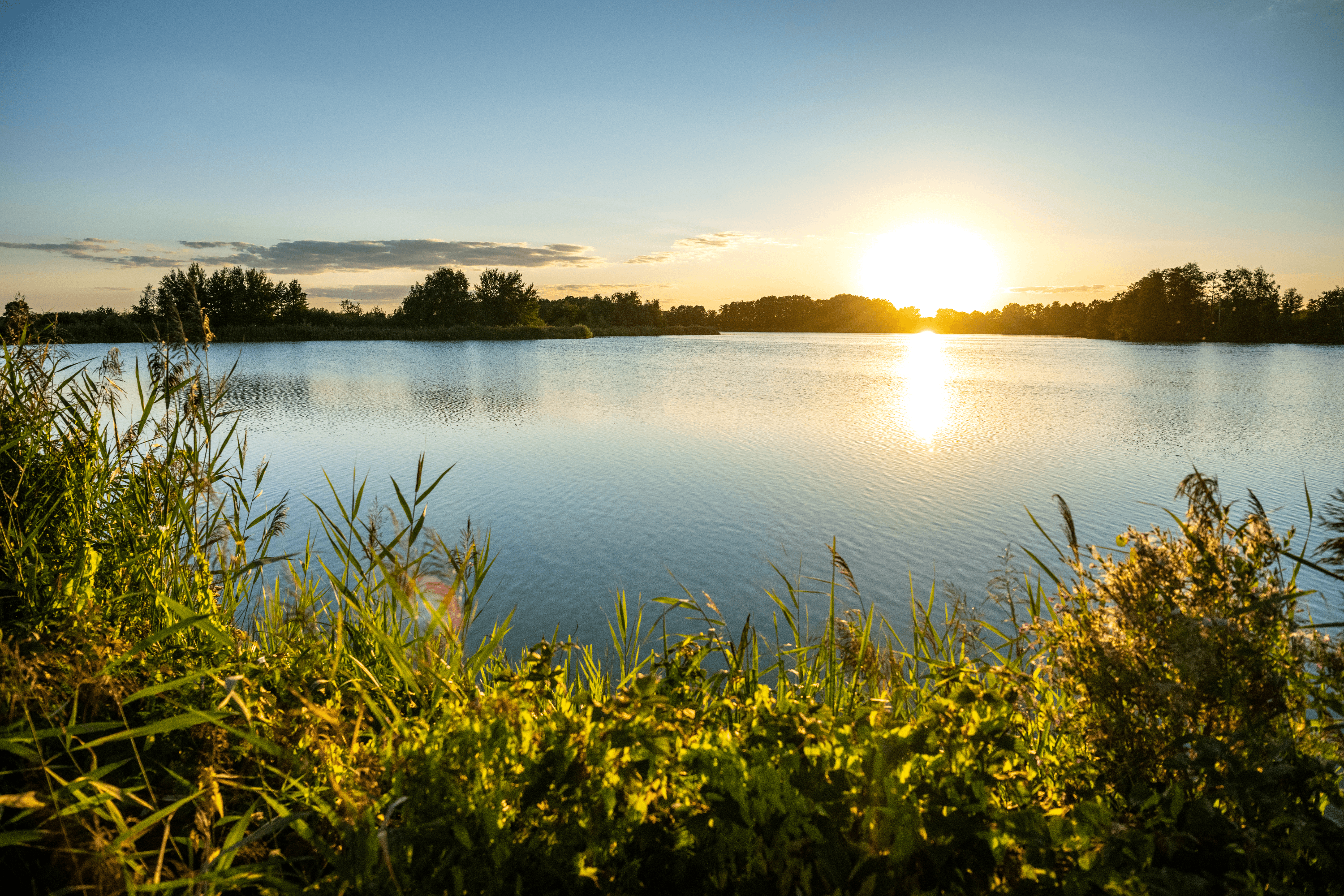 Seen Landschaft in der Lüneburger Heide
