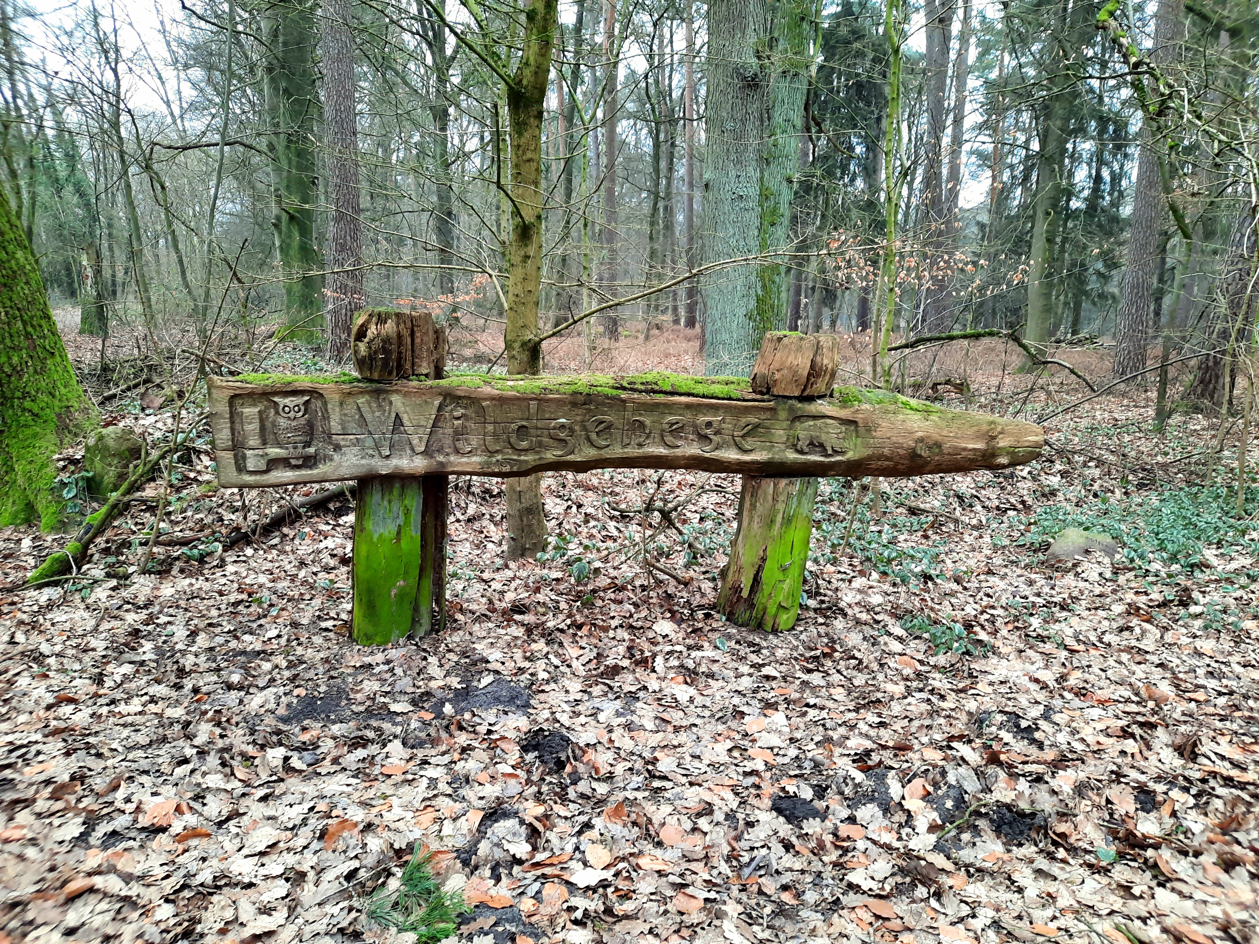 Wegweiser Wildgehege Uelzen