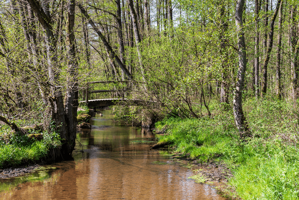 Der Wanderweg Pastor Bode Weg bei Egestorf in der Lüneburger Heide
