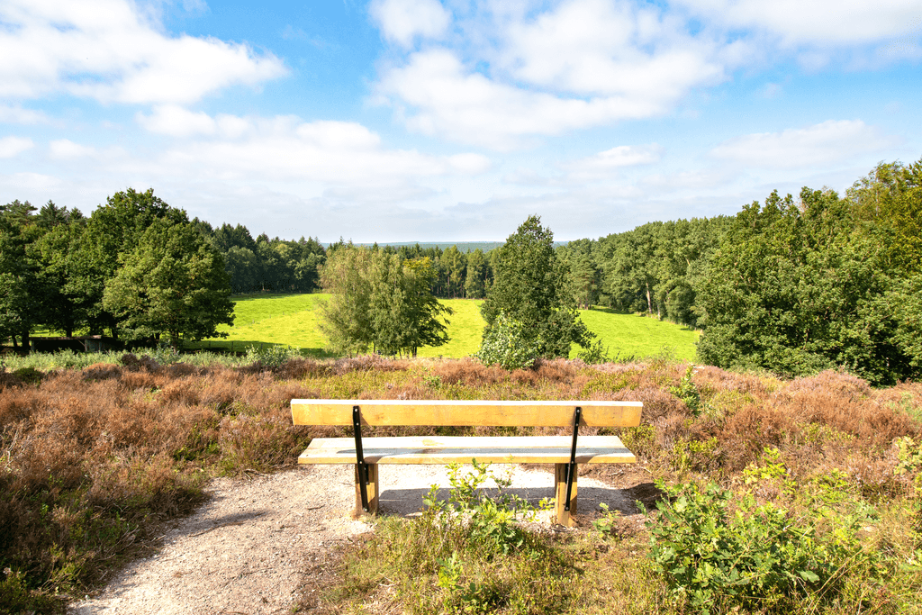 Naturblick Auberg in Egestorf in der Lüneburger Heide
