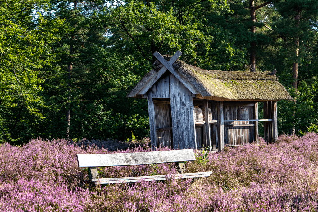 Das Naturwunder Birkenbank ist eine kleine Heidefläche gleich hinter dem Ortsausgang von Egestorf Richtung Sudermühlen. Auf einer Anhöhe gelegen empfängt Sie eine Sitzgruppe zum picknicken oder eine Bank- tatsächlich unter Birken. Die Sonnenuntergänge von hier aus beobachtet sind ein Traum!