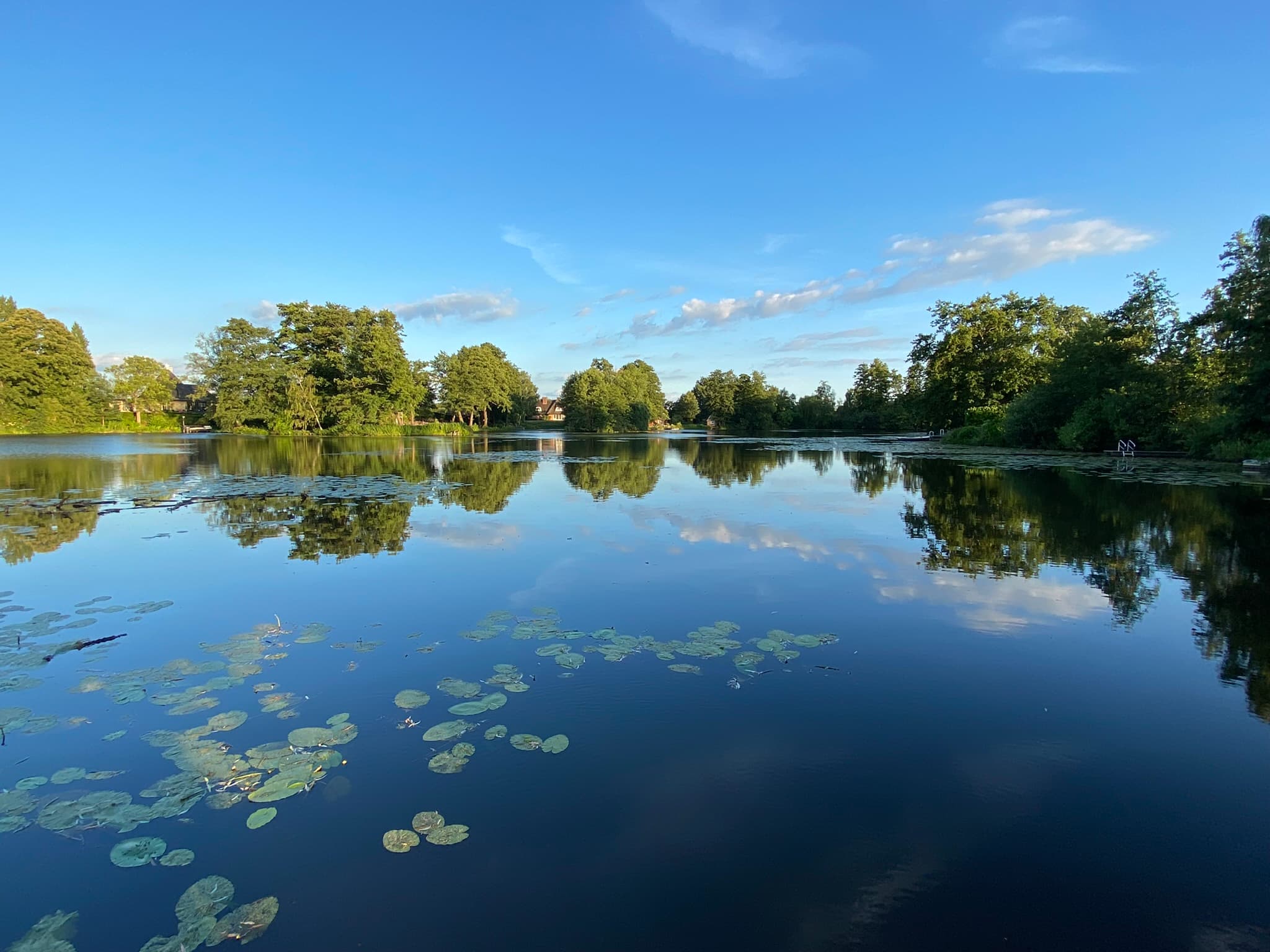 Seeblick des Ferienhaus Landhaus Lotten in Winsen (Luhe)