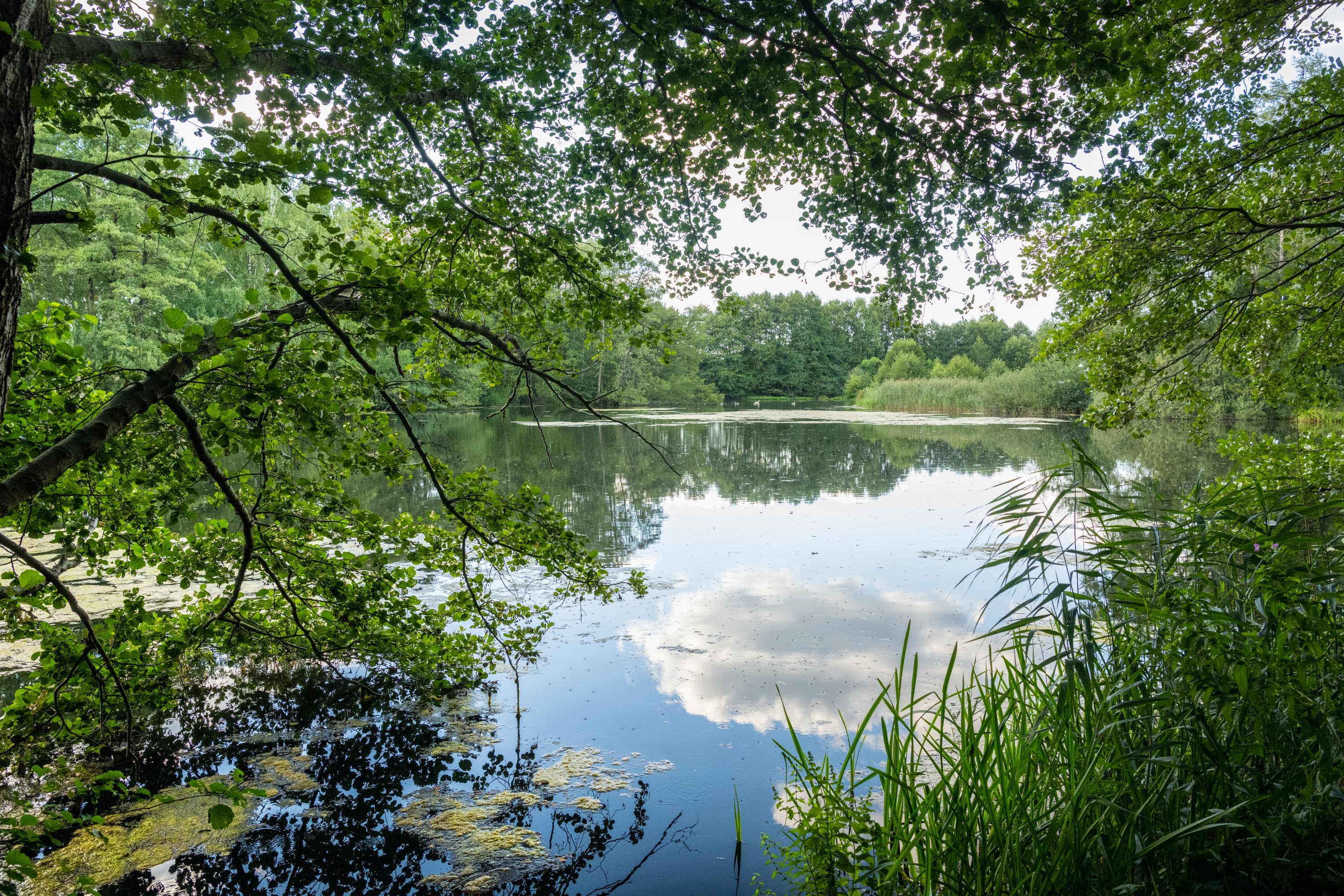Meissendorf Meissendorfer Teiche