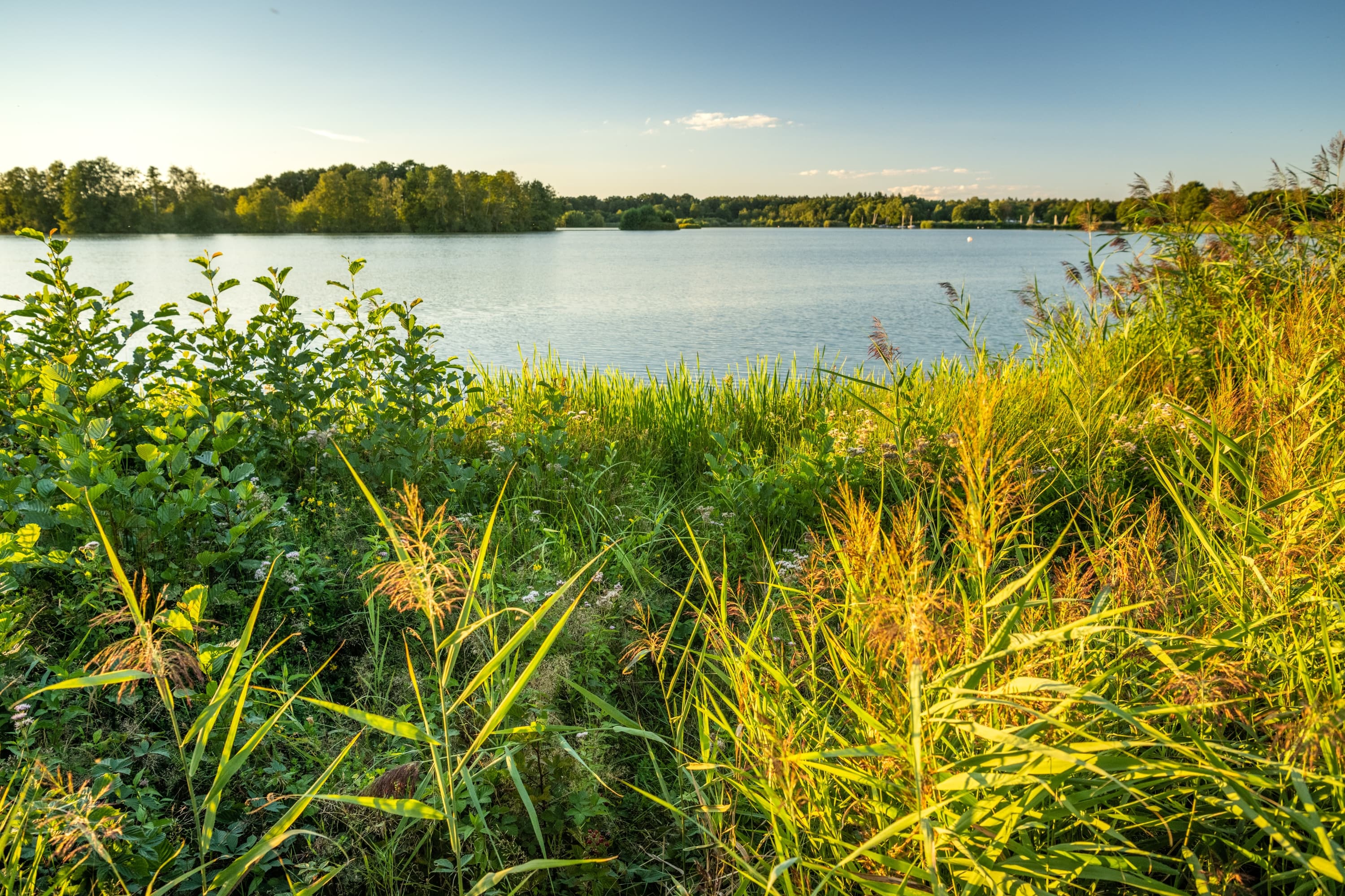 Meissendorf Meissendorfer Teiche