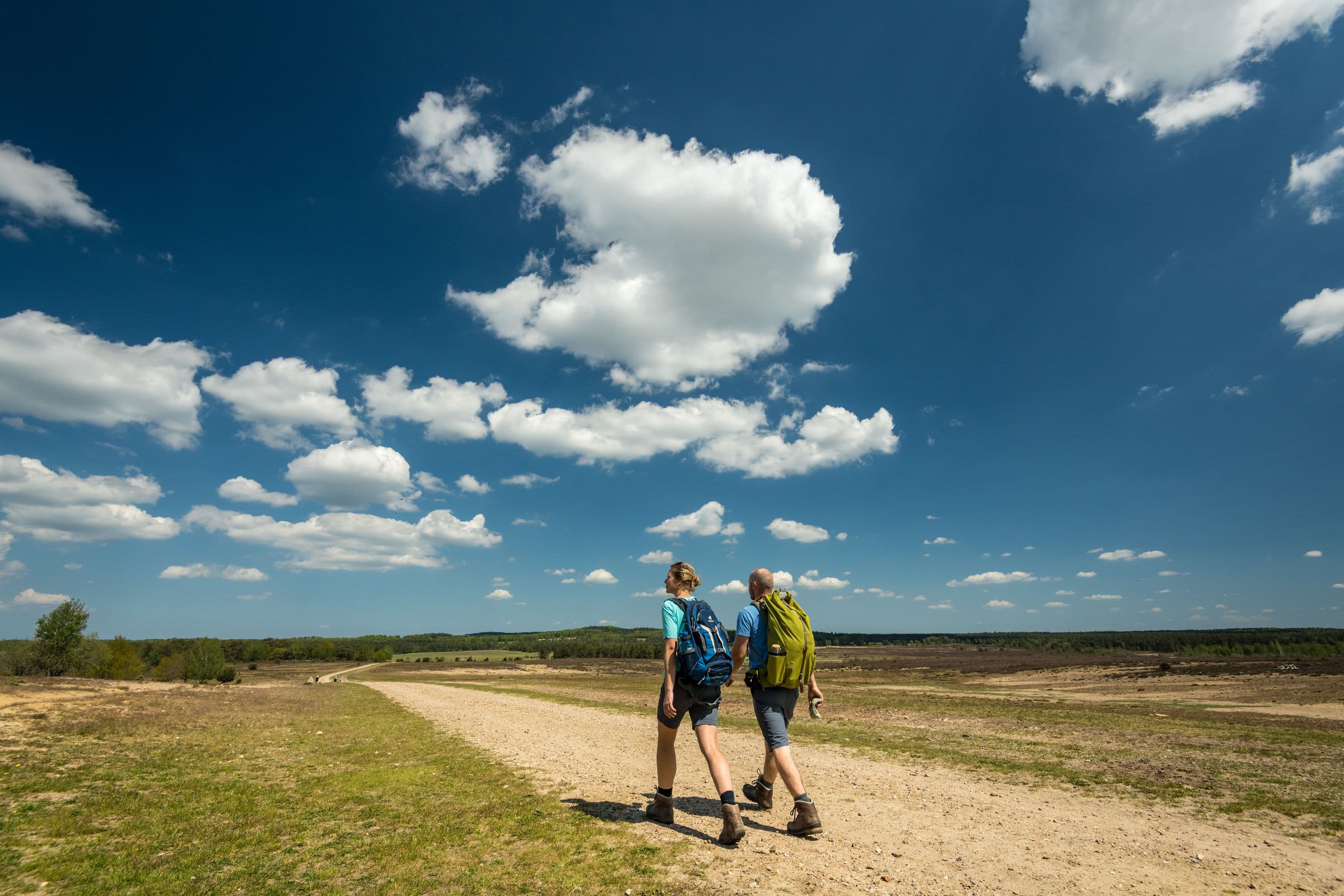 Wandern am Tütsberg in Schneverdingen in der Lüneburger Heide
