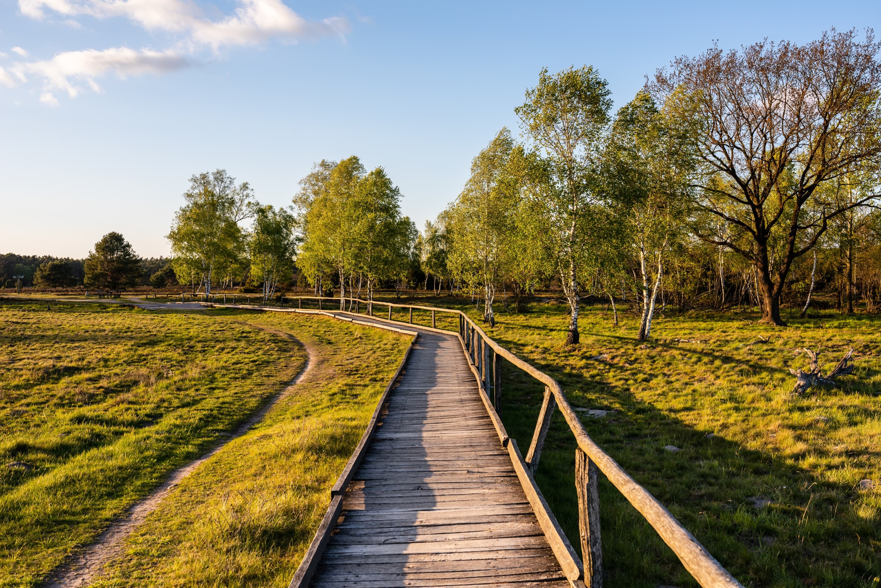 Bispingen Haverbeeke Heidschnuckenweg Wandern