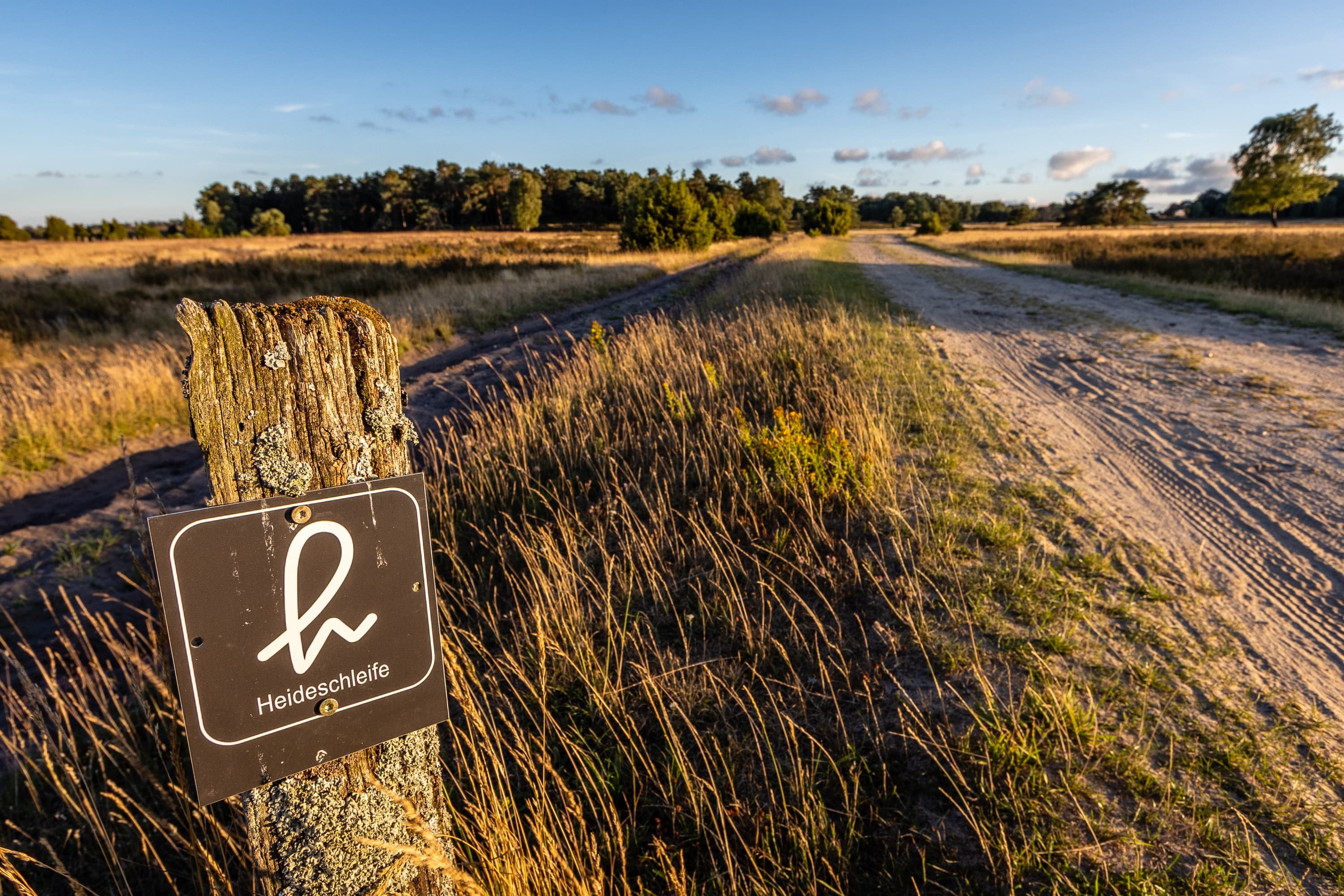 Bispingen Heideschleife Tütsberg Wandern