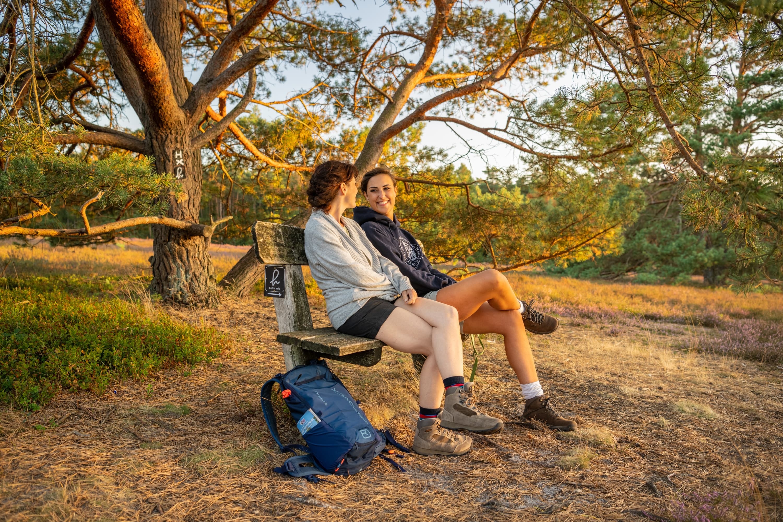 Hermannsburg Misselhorner Heide Wandern