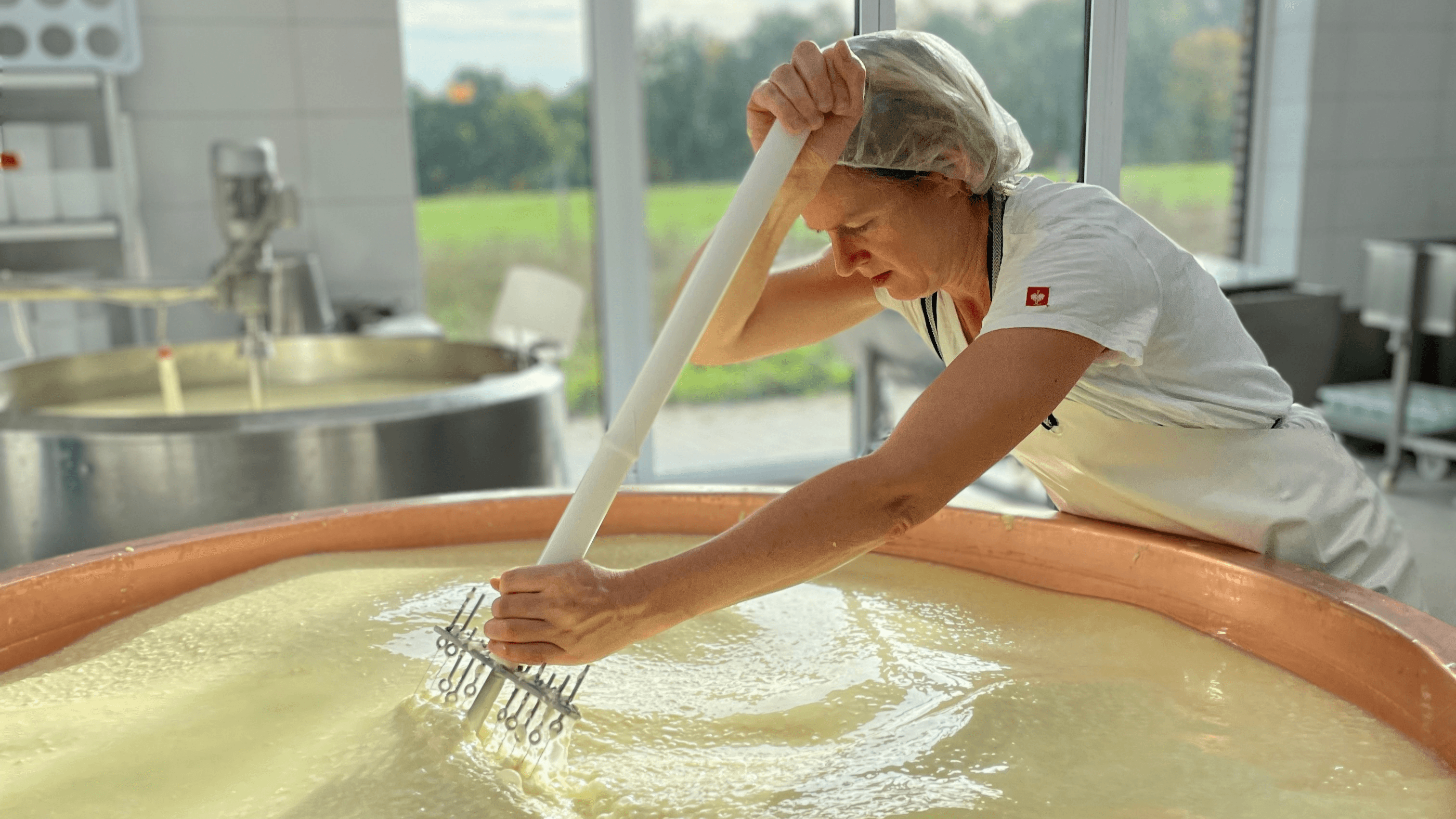Eine Käserin in weißer Arbeitskleidung rührt konzentriert in einem großen Kupferkessel mit Milch im Sonnenlicht der Fenster im Hintergrund.