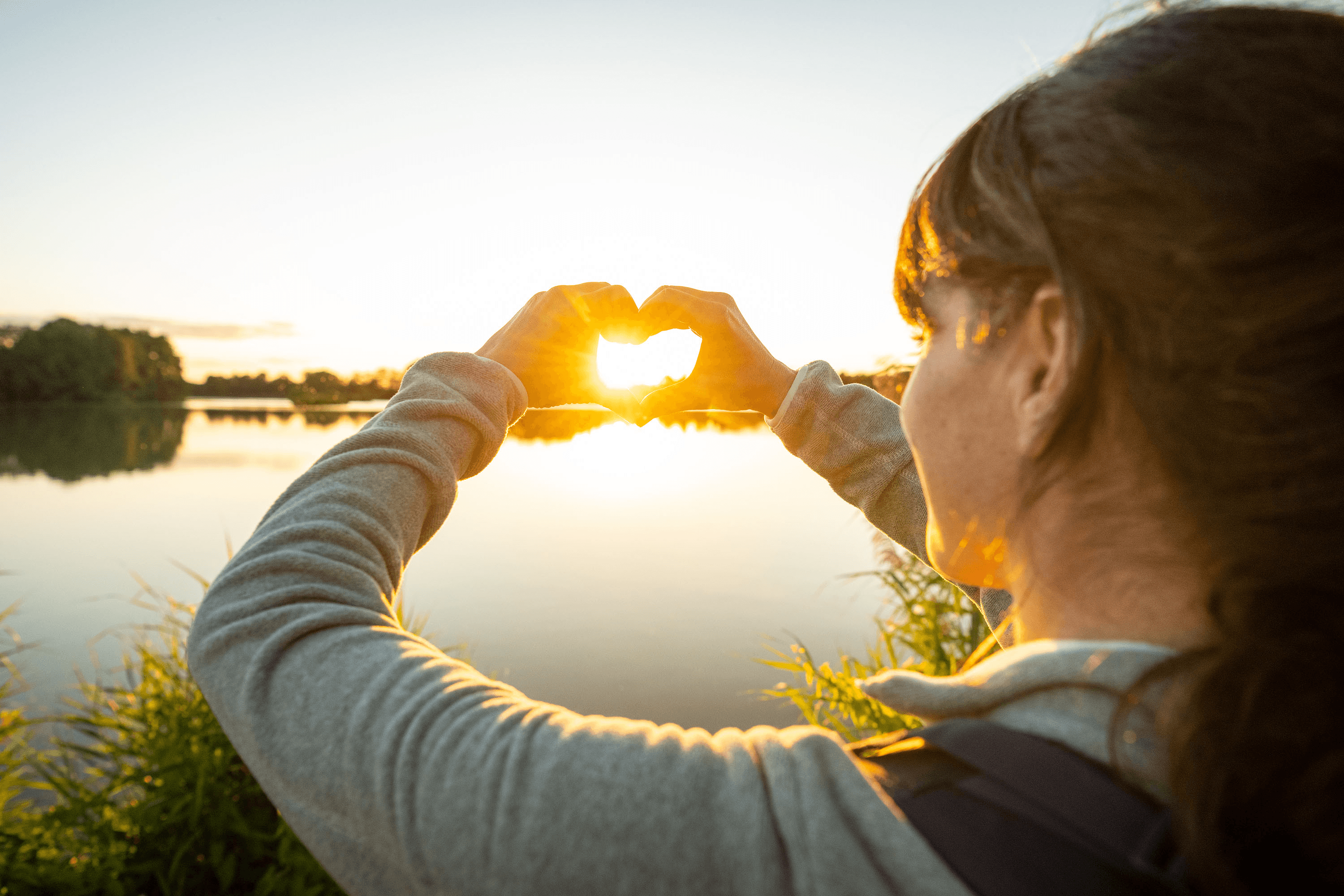 Warme sonne an den meissendorfer teichen in der lüneburger heide