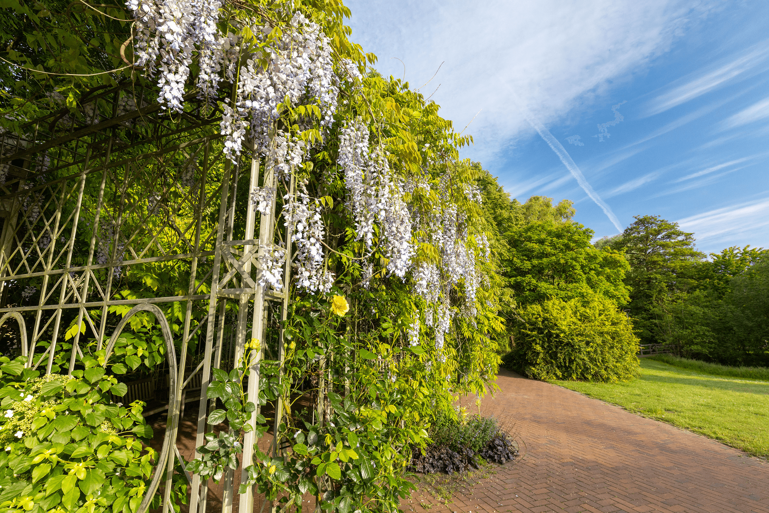Tolle Natur im Kurpark Bad Bevensen
