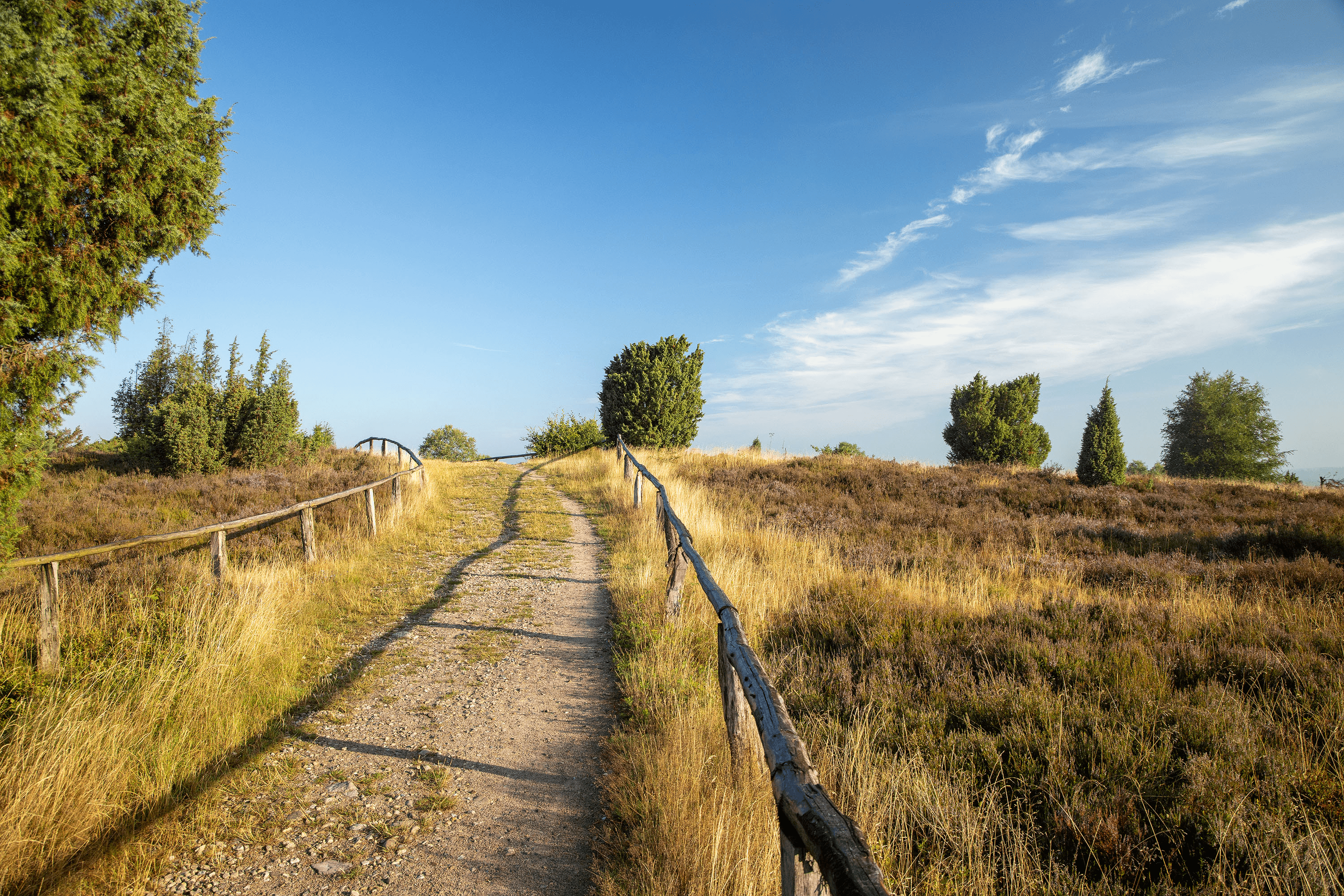Wanderung zum Wilseder Berg