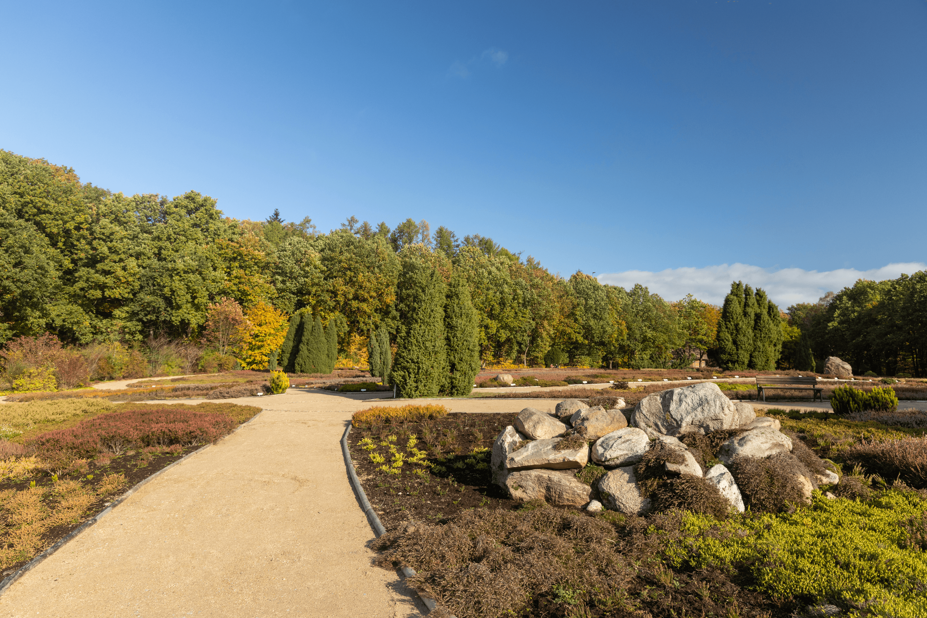 Buntes Laub im Heidegarten Schneverdingen im Herbst