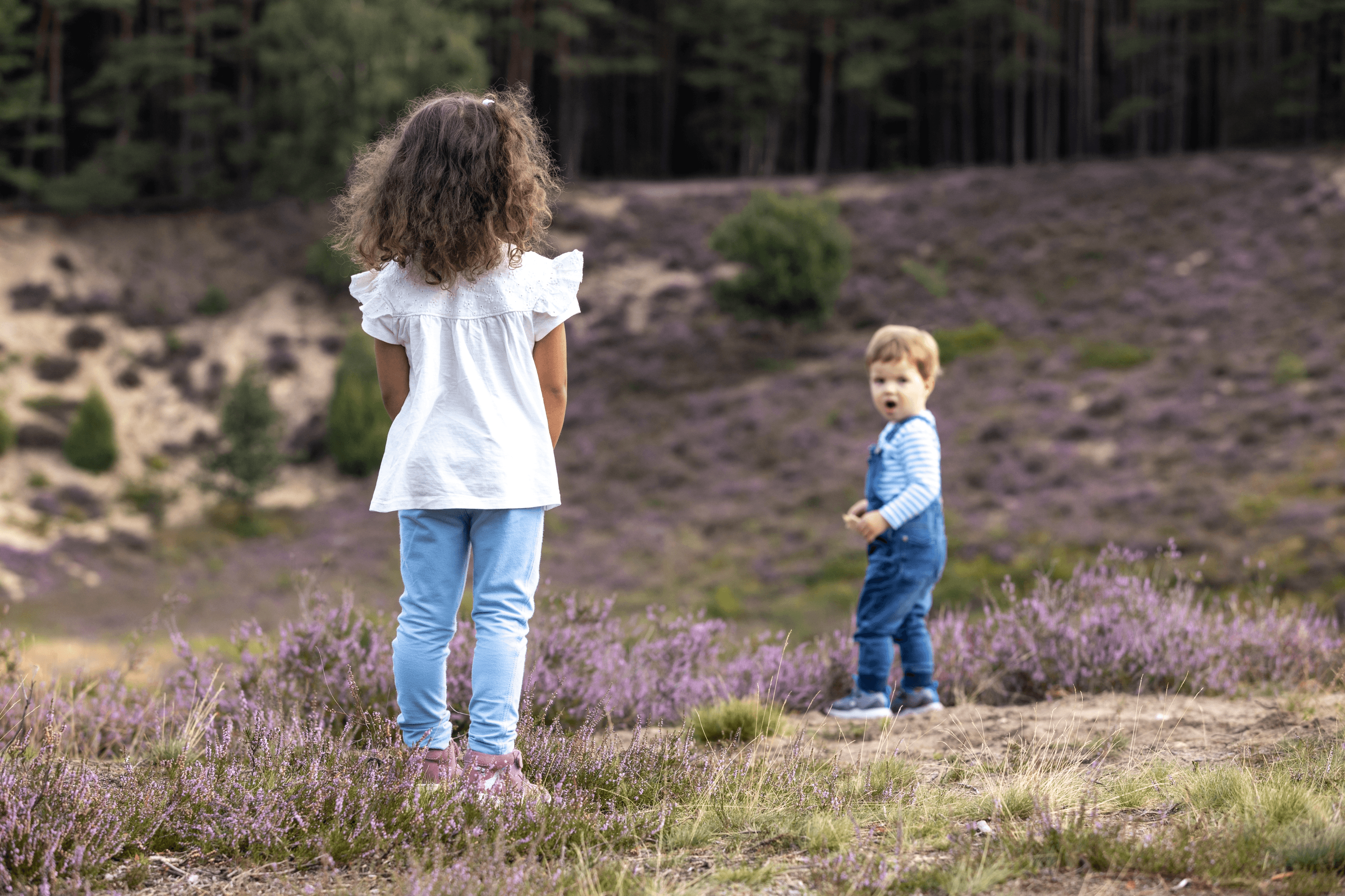 Wanderwege für Familien mit Kindern durch die Heide