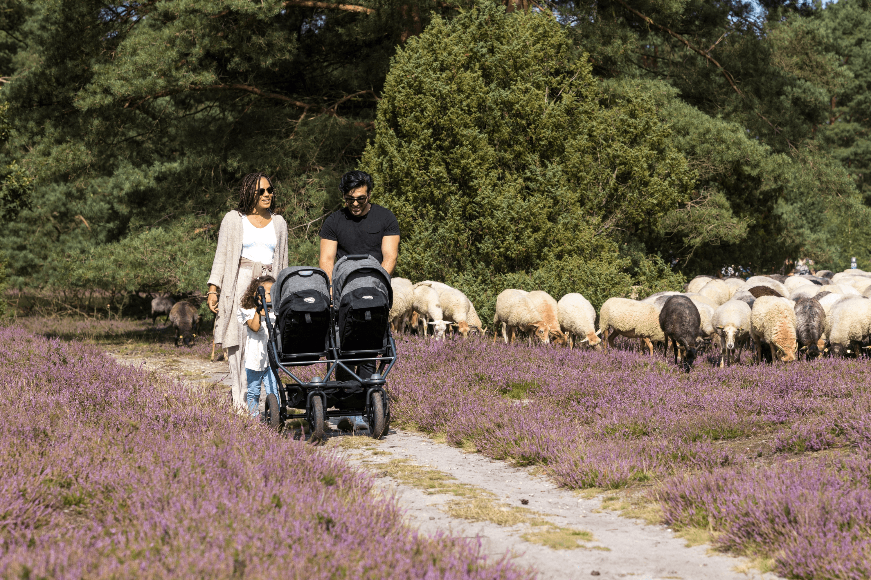 Wanderwege für Kinderwagen in der Lüneburger Heide