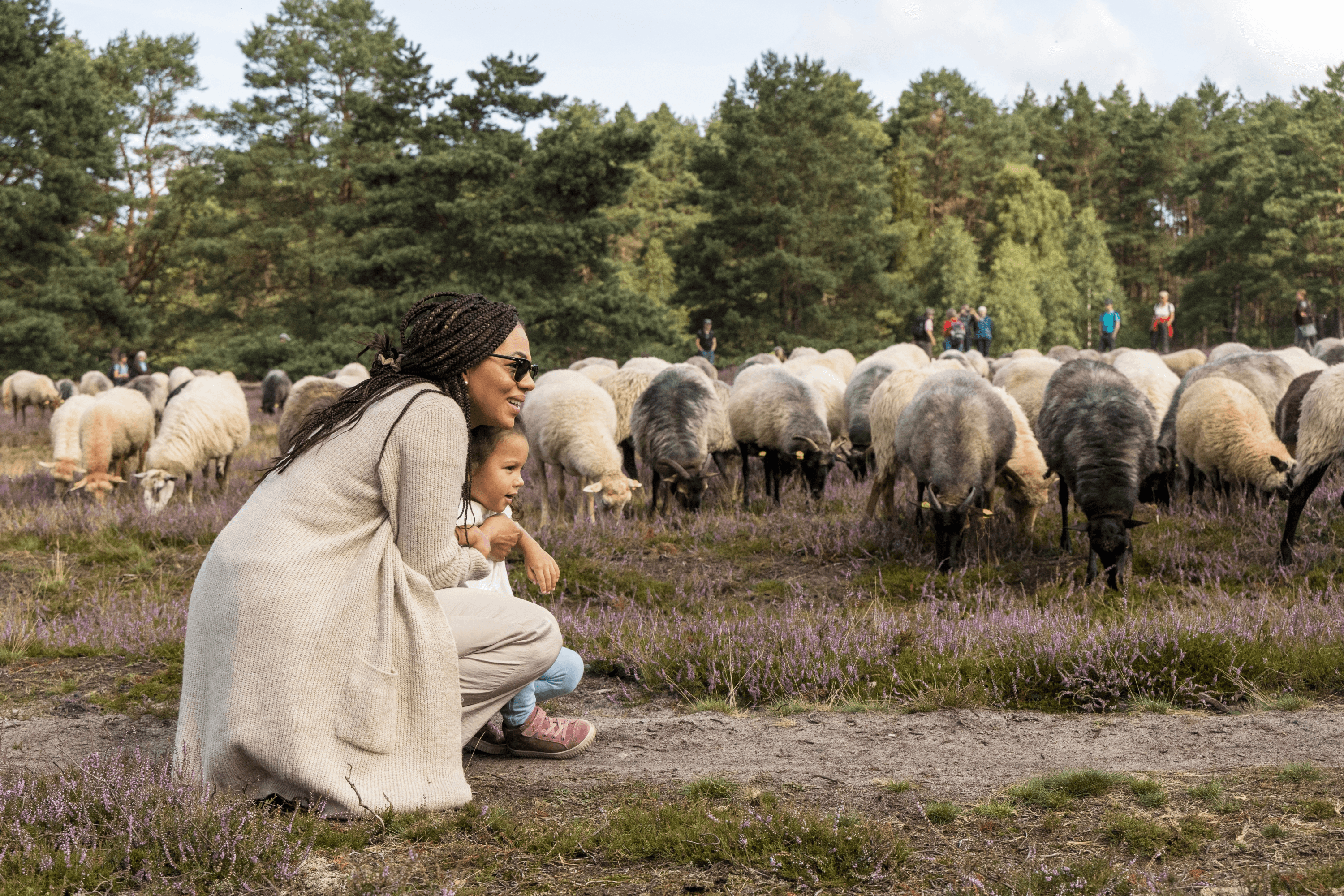 Wandern mit Kind in der Lüneburger Heide, gleich in der Nähe