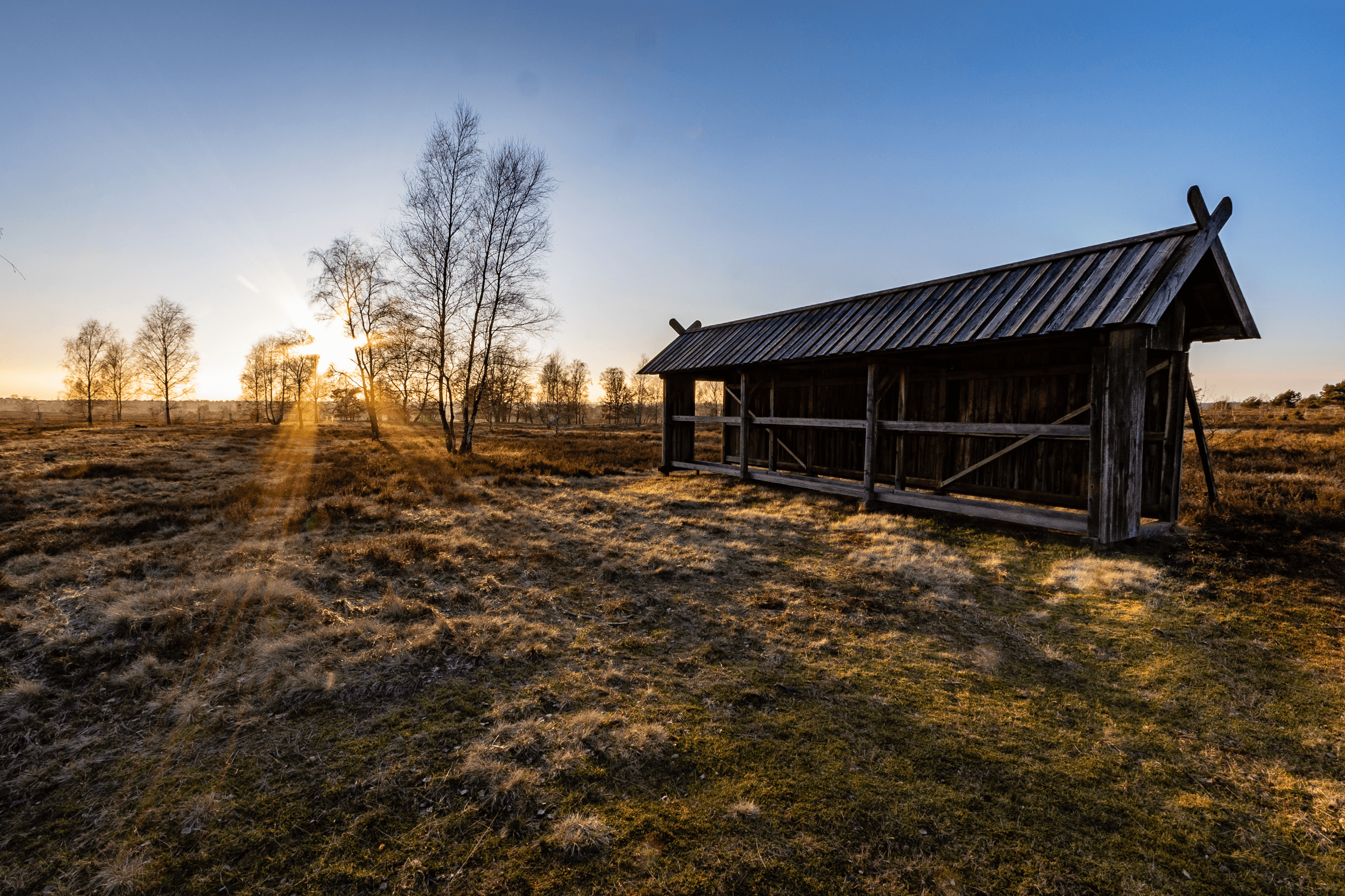 die romantische Roeders Heide Soltau im Sonnenuntergang