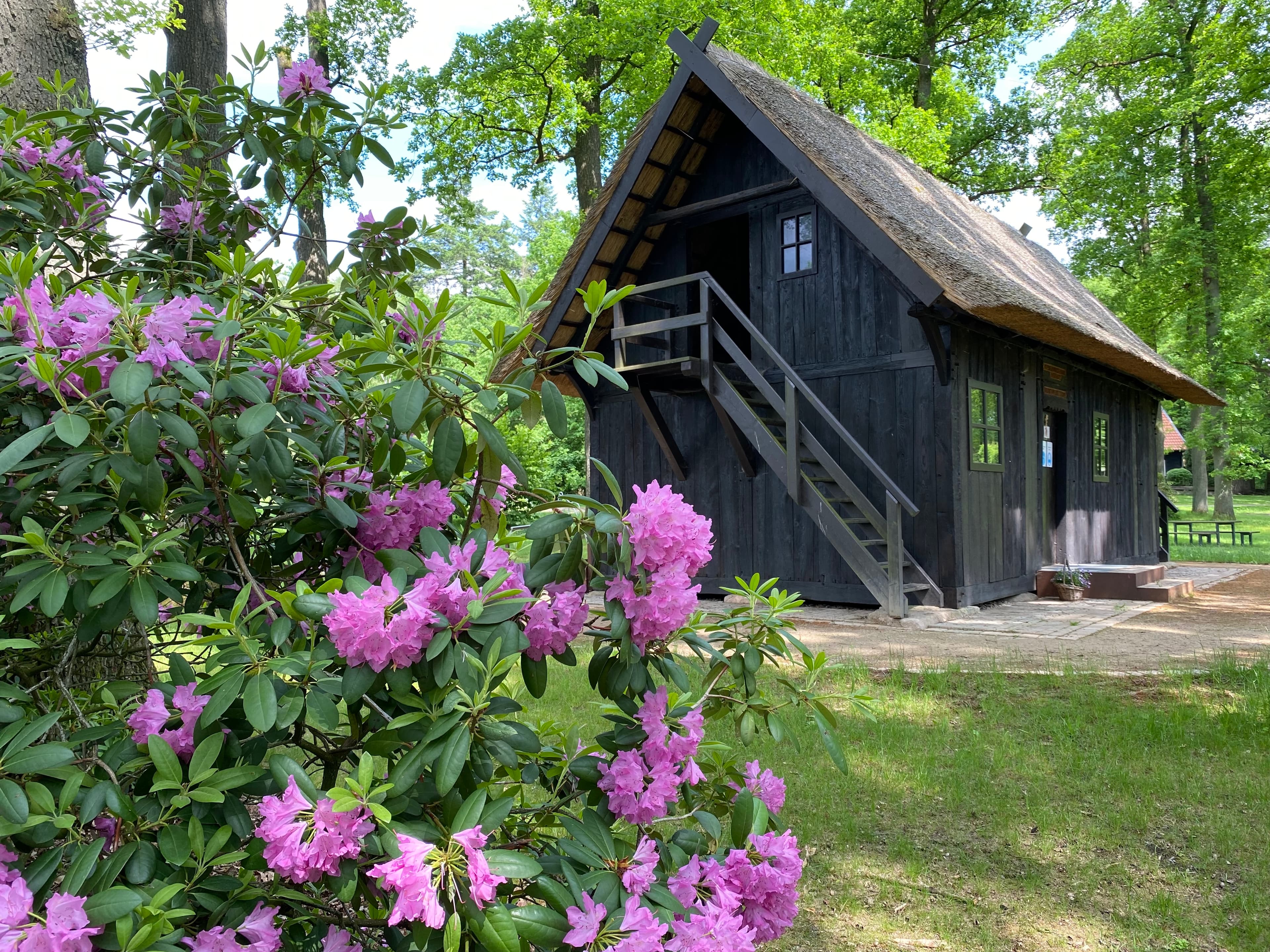 Lutterloh, Geburtsort des Kaisers Lothar III